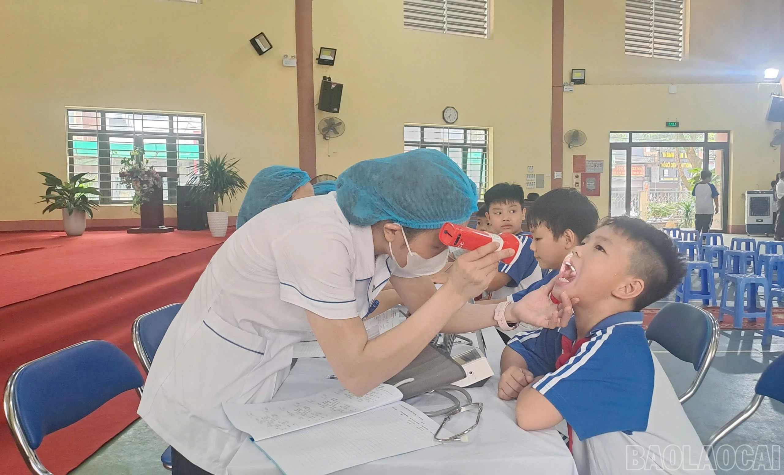 baolaocai-br_1790590168199-1984763244511027260-773878949586061066-c3b8458115f0c620f1454da2bb69b646.jpg