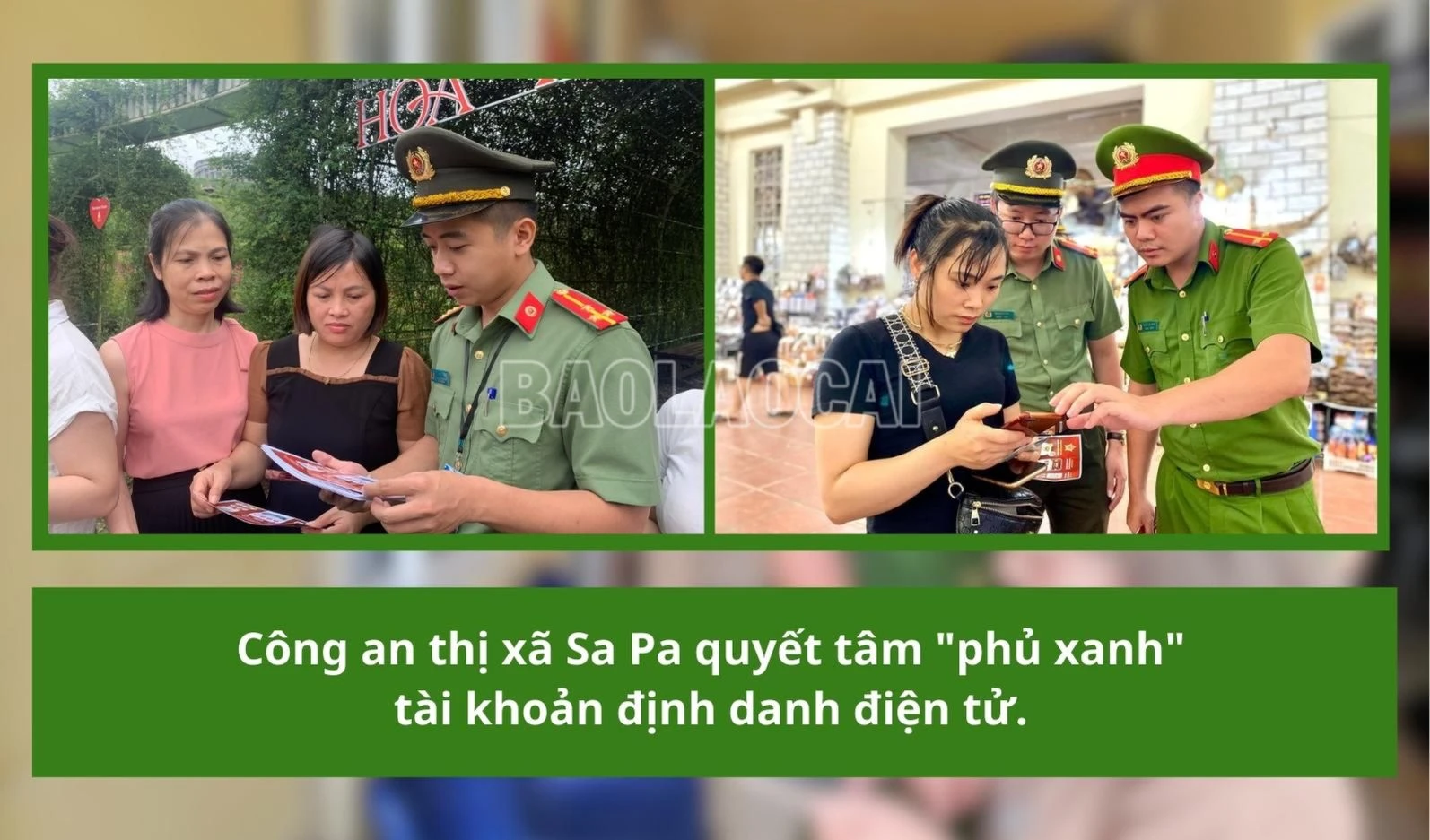 95.jpg