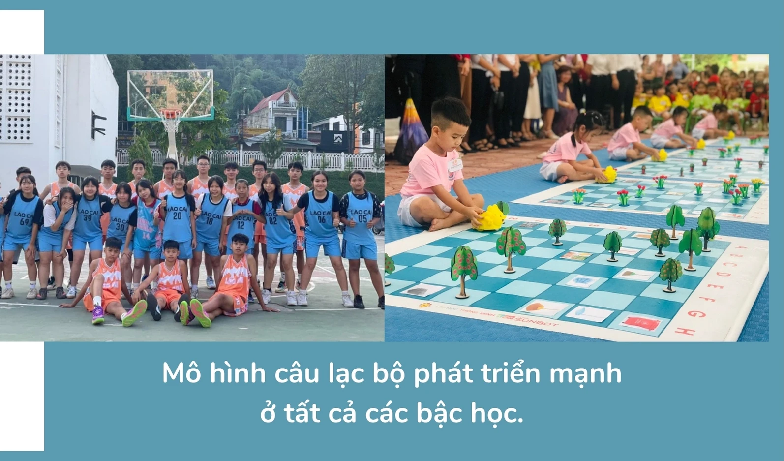 53.jpg