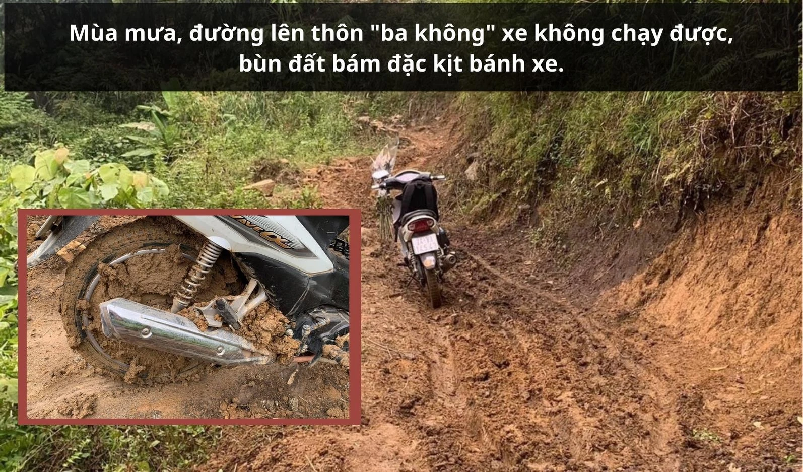 71.jpg