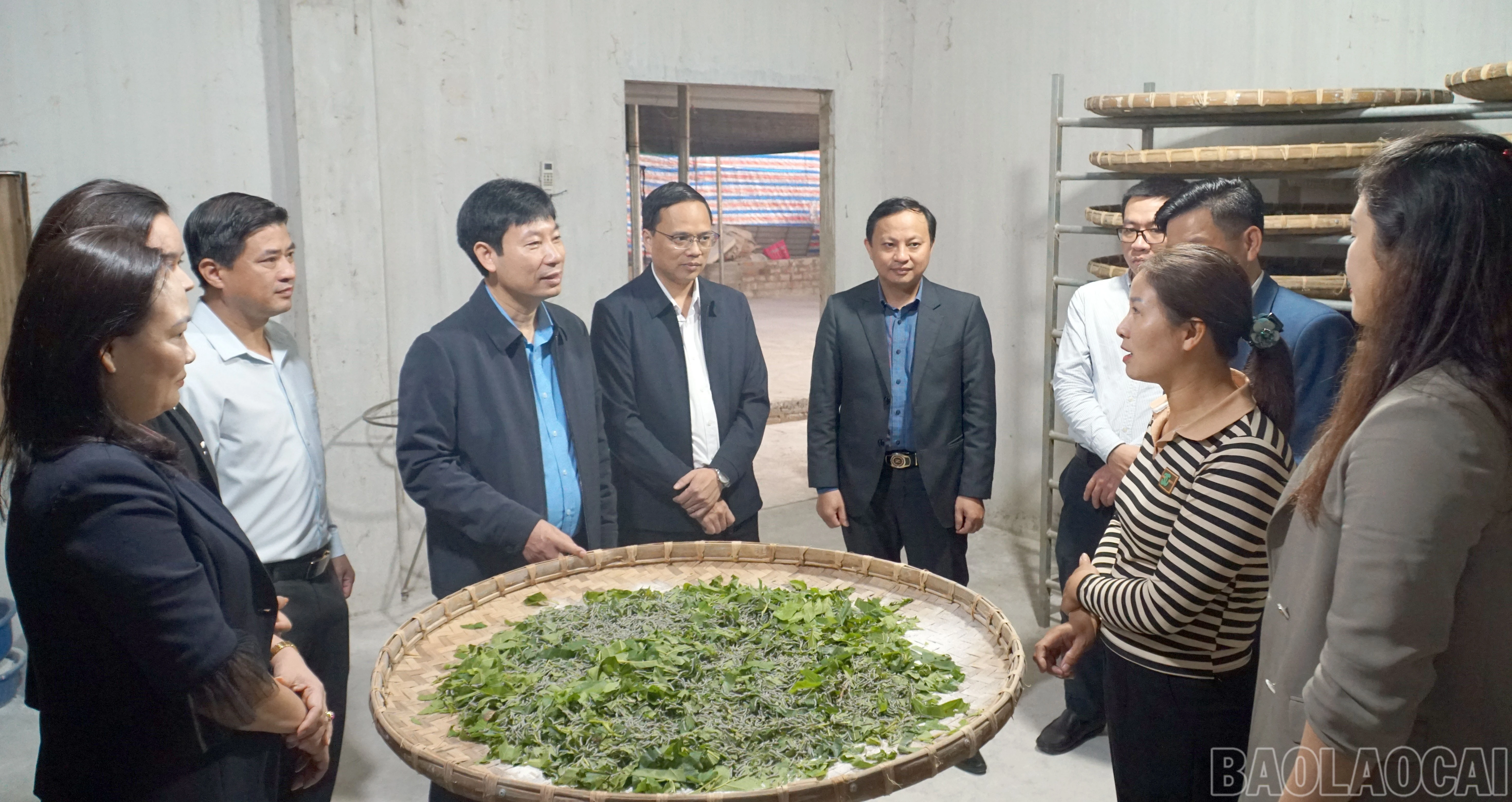 baolaocai-br_511-nong-dan-6.jpg
