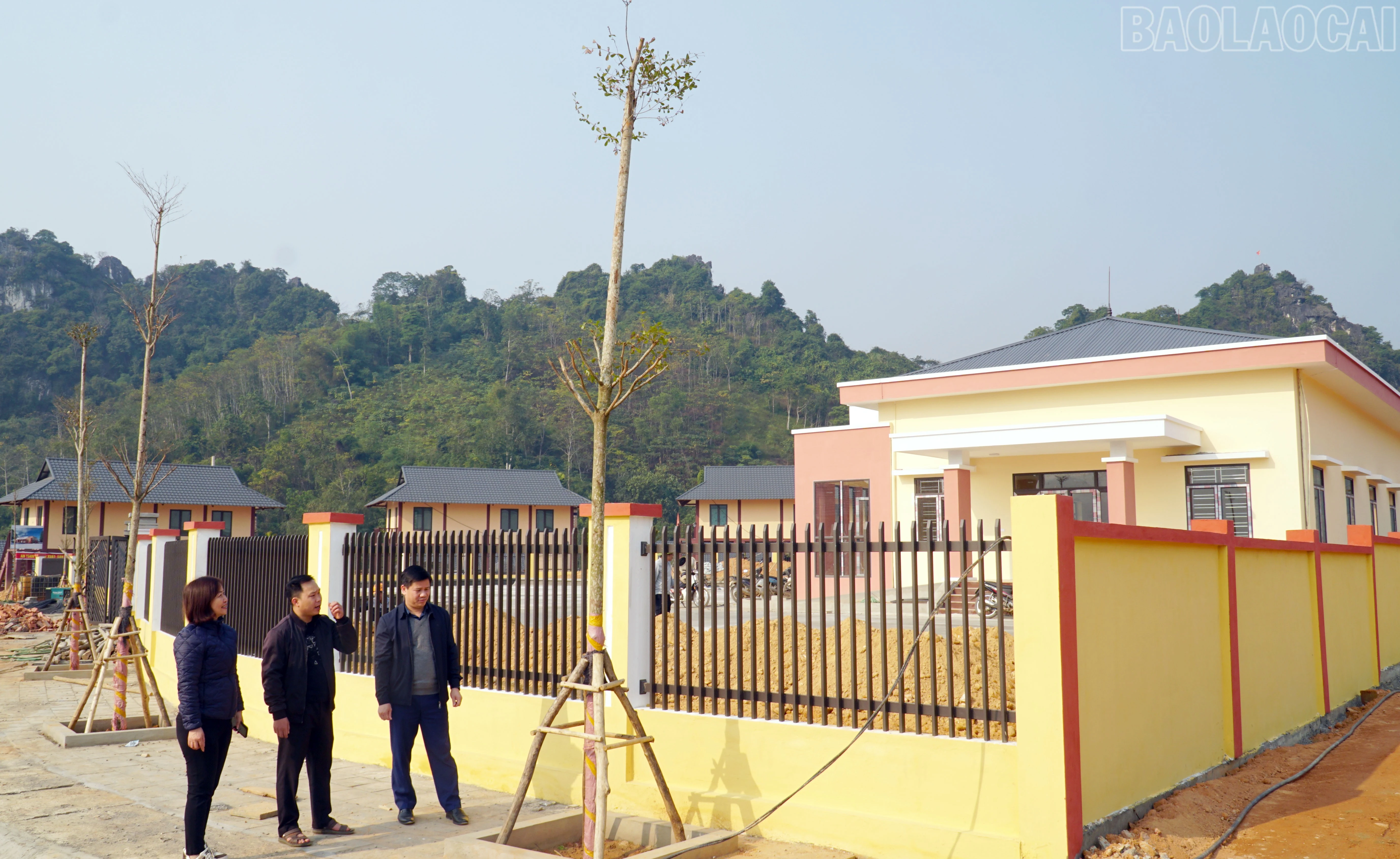 baolaocai-tr_55.jpg