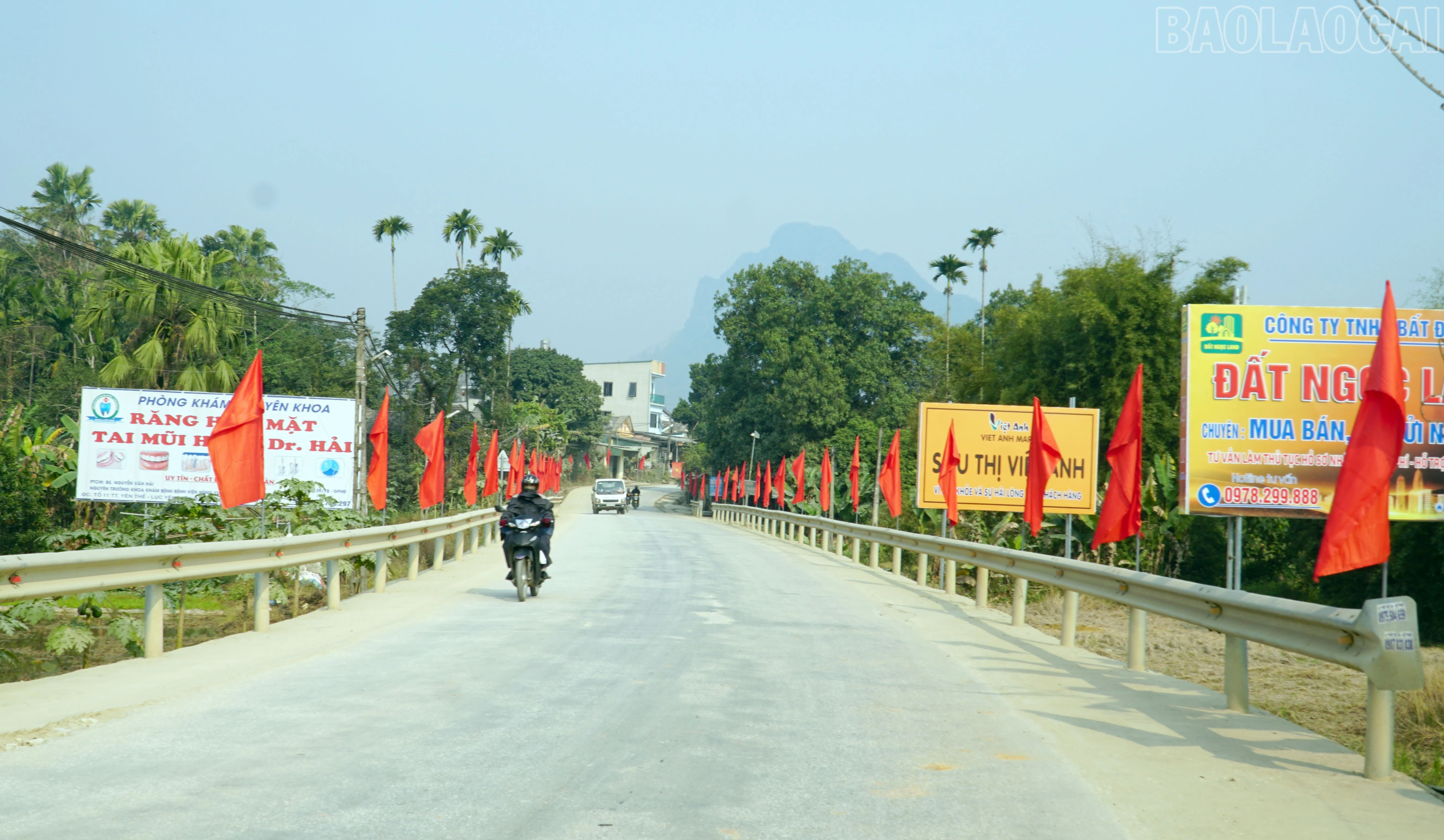 baolaocai-tr_6.jpg