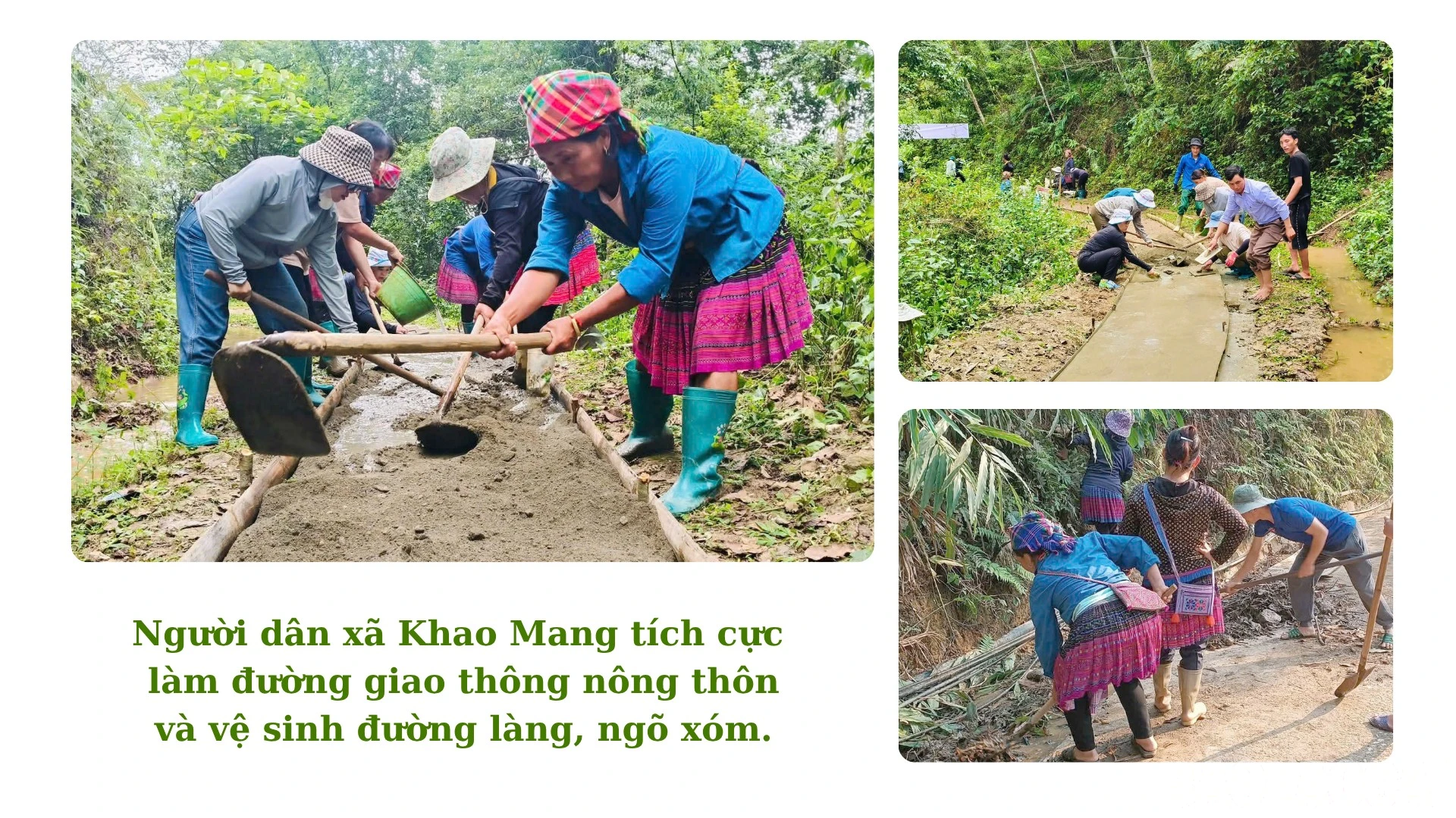 baolaocai-br_2-4582.png