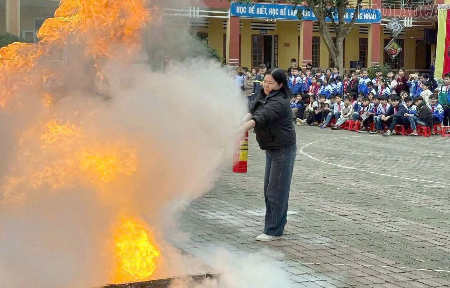 baolaocai-tr_2712-cc2.jpg