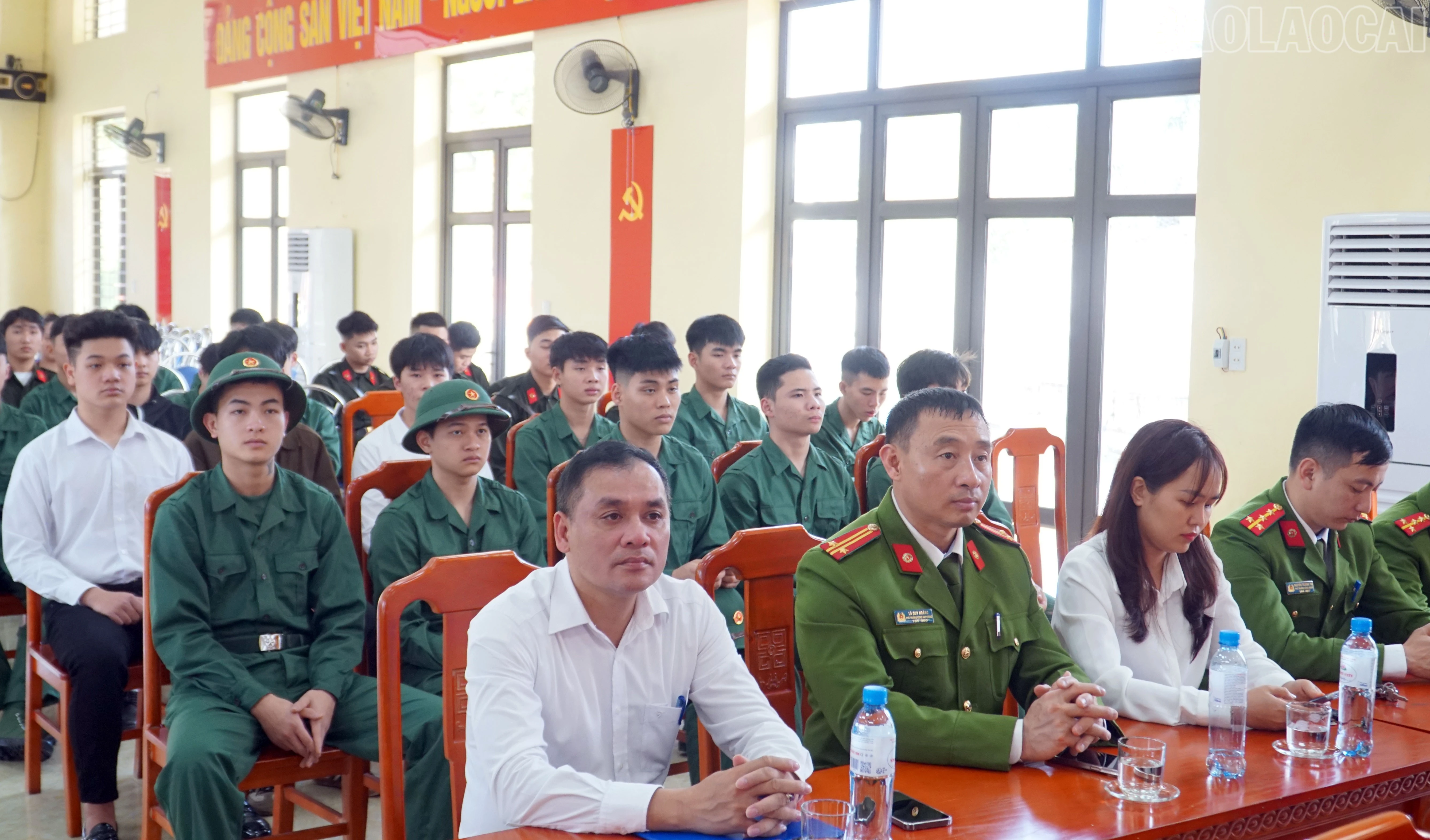 baolaocai-tr_6.jpg