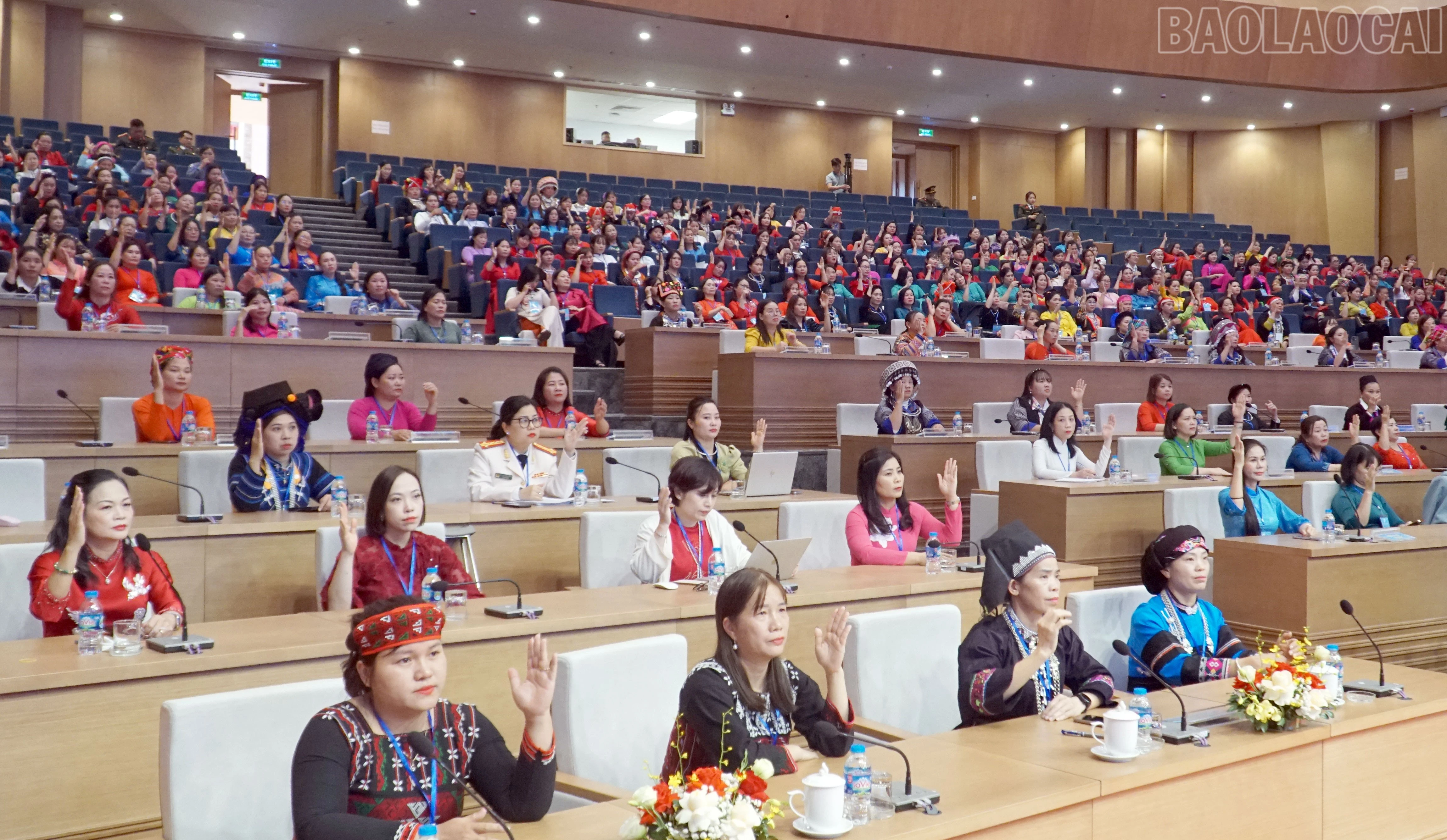baolaocai-tr_18.jpg