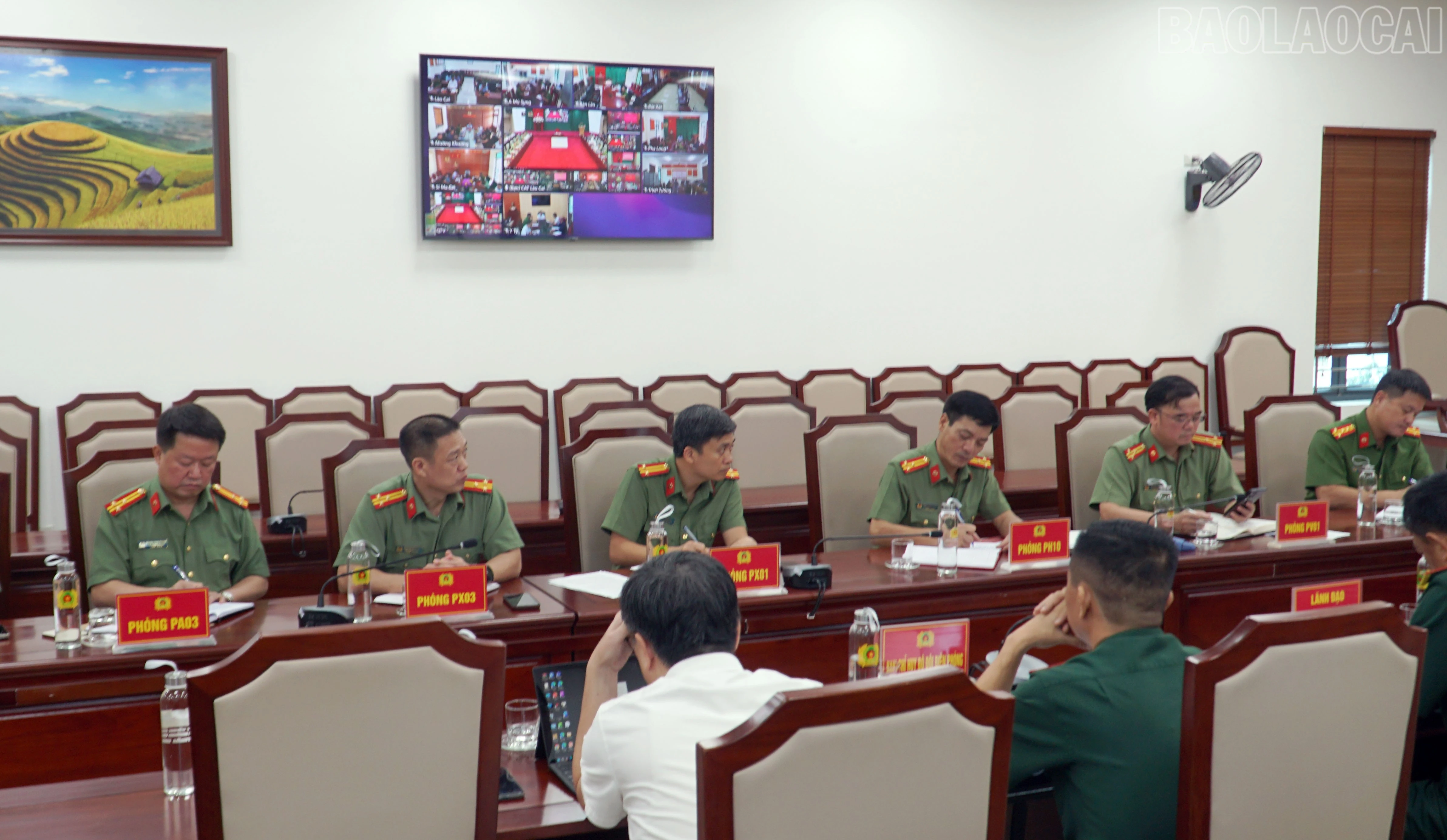 baolaocai-tr_3.jpg