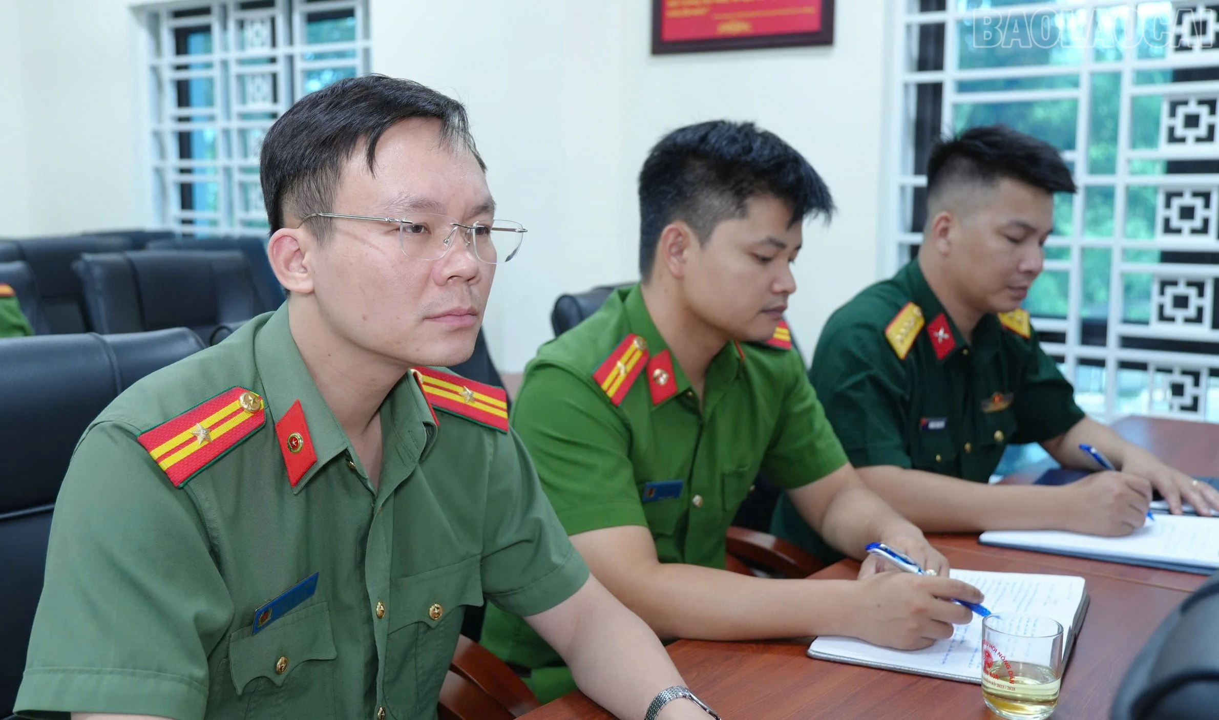 baolaocai-tr_7.jpg