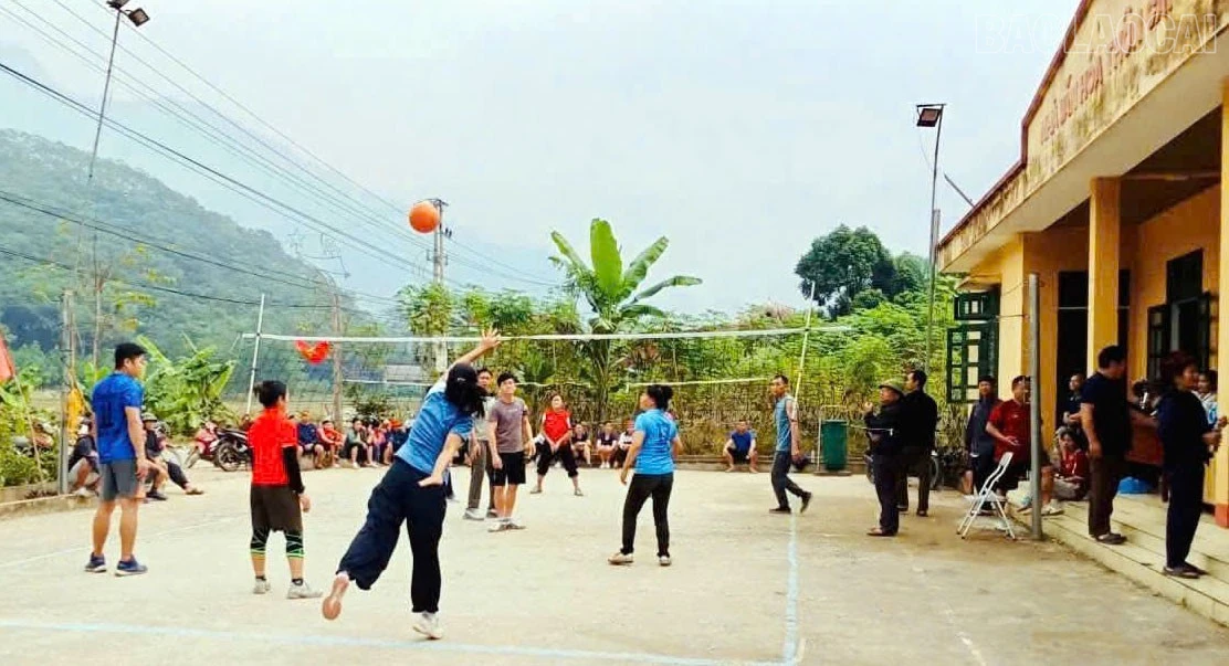 baolaocai-tr_8.jpg