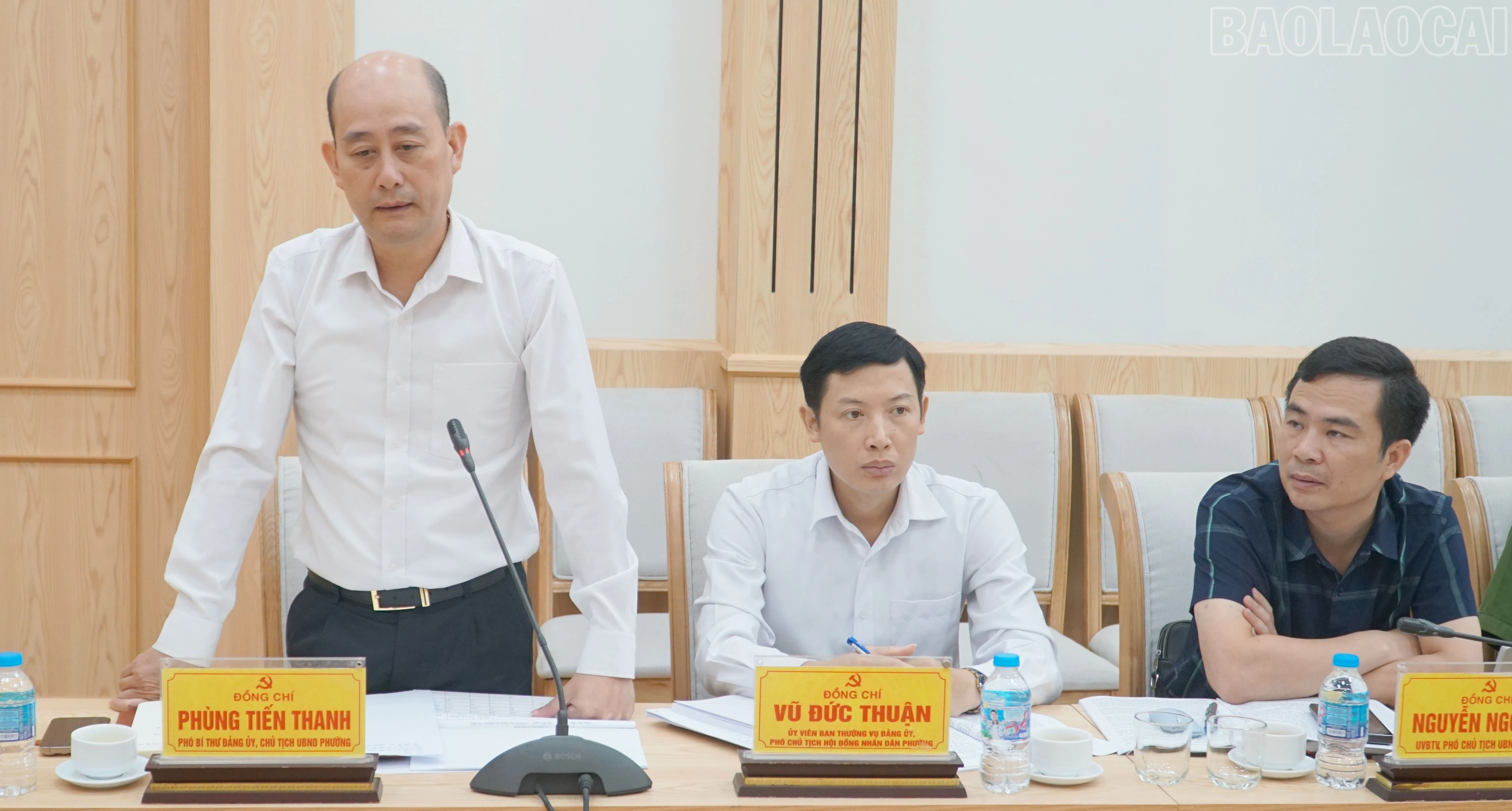 baolaocai-tr_yb-3.jpg