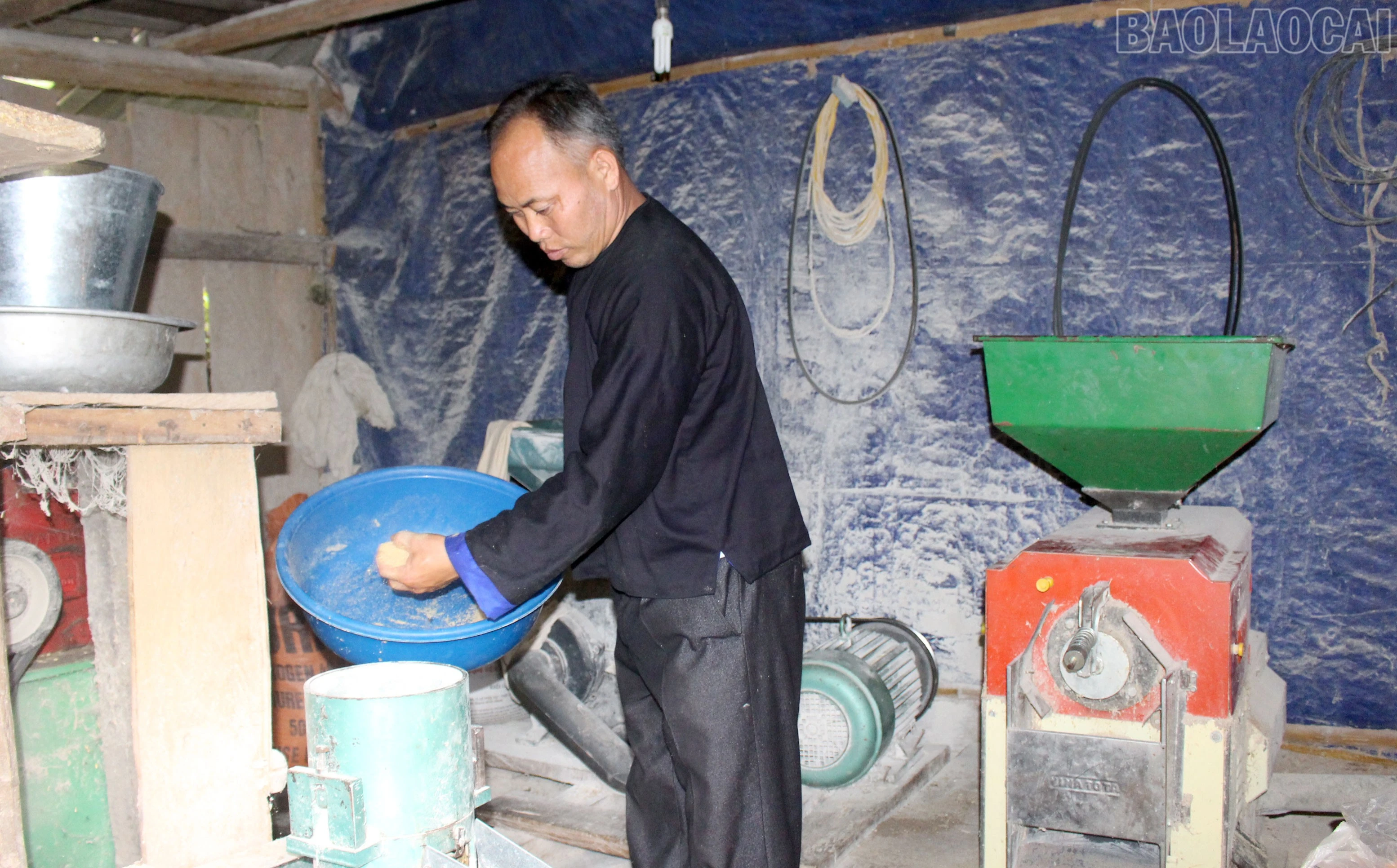 baolaocai-tr_4.jpg