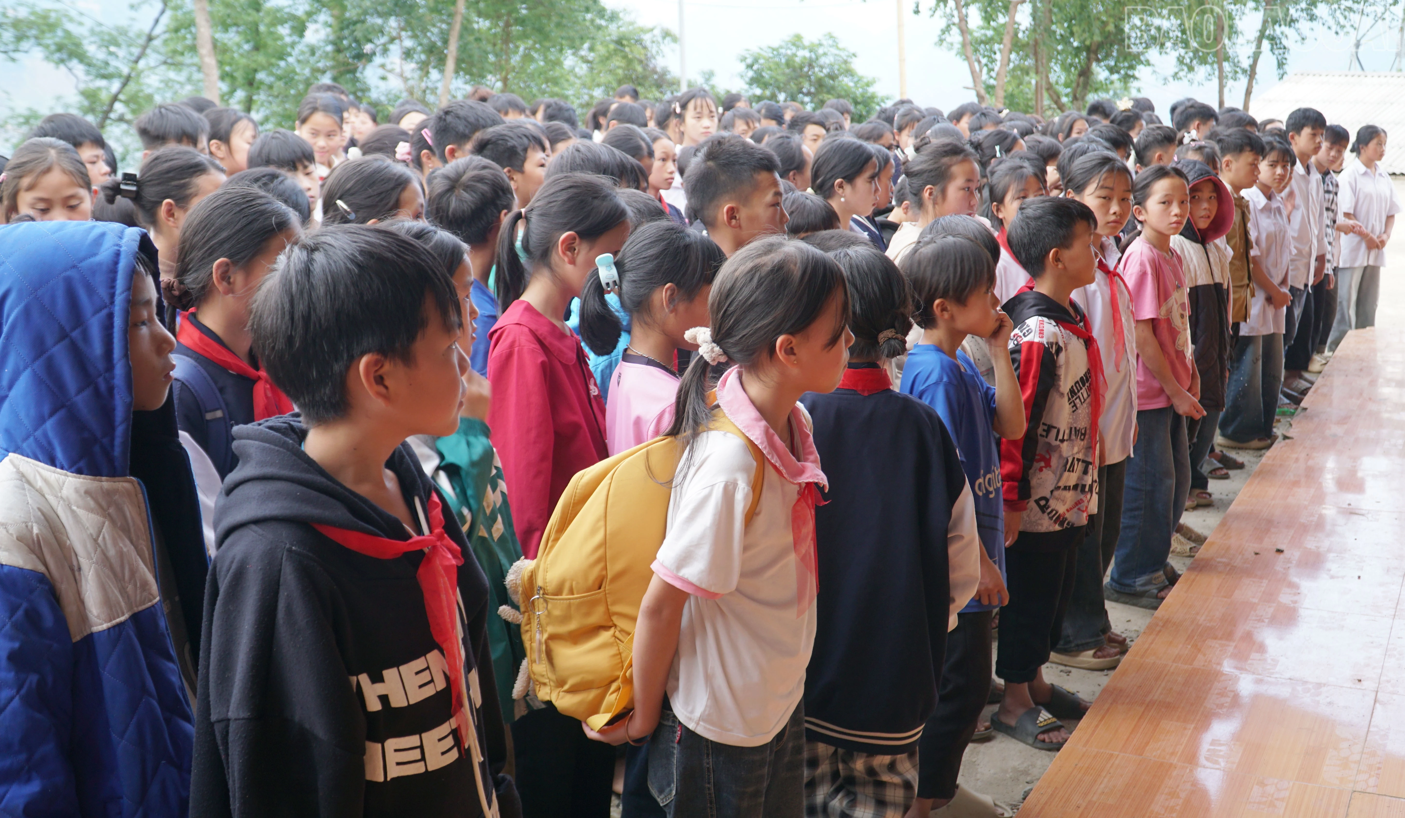 baolaocai-tr_11.jpg