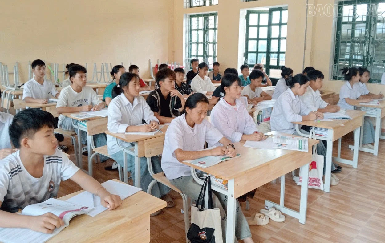 baolaocai-tr_222.jpg