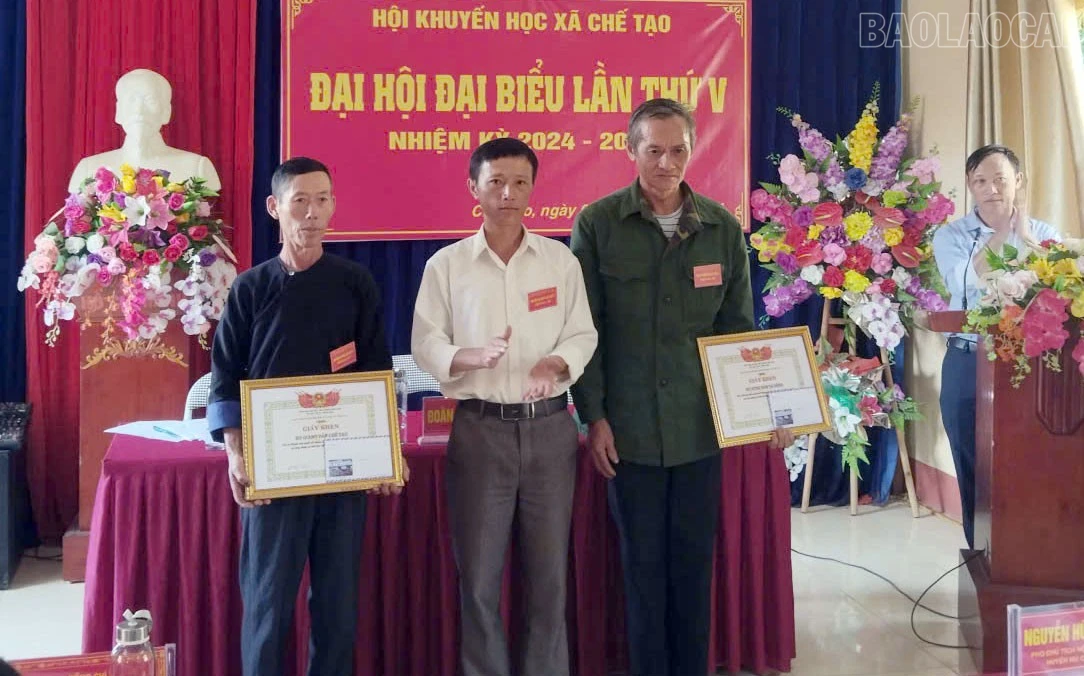 baolaocai-tr_9.jpg