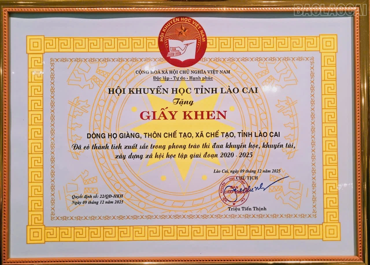 baolaocai-tr_z7901455282241-29597934dc2914a5788528ec13db97c6.jpg