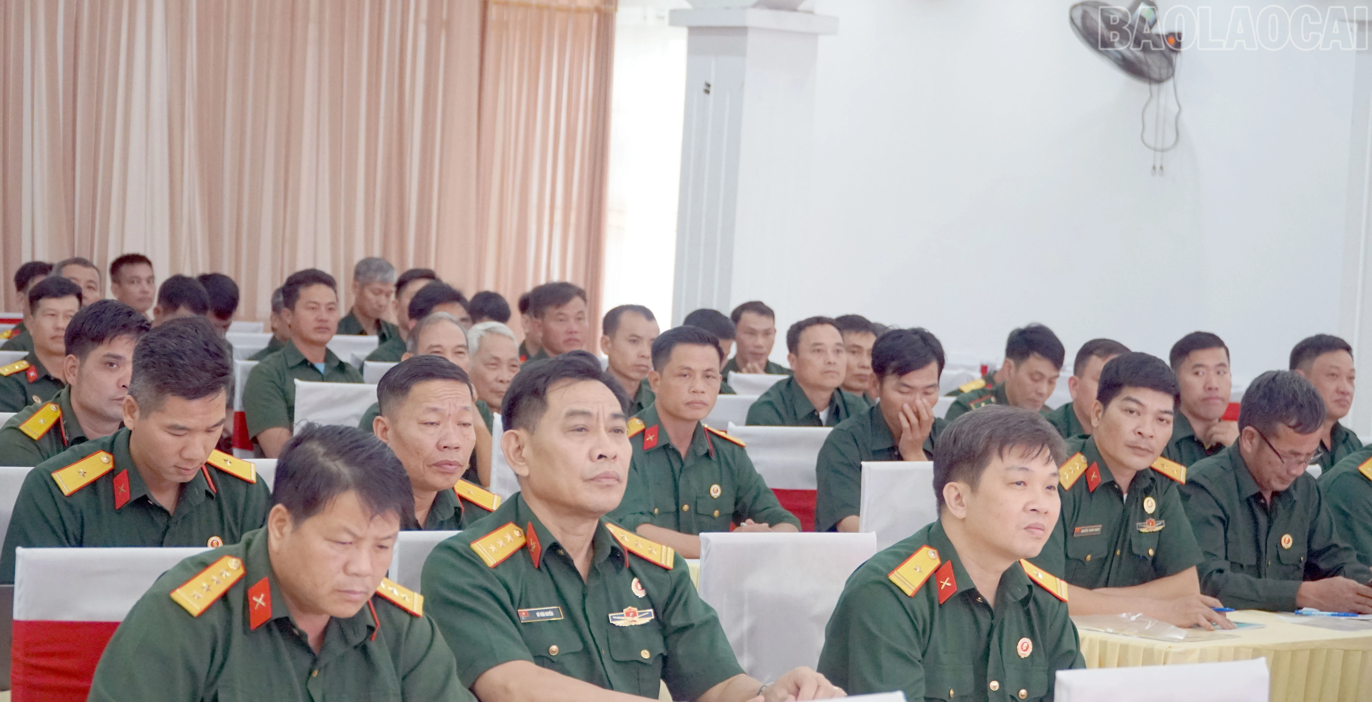 baolaocai-tr_7.jpg