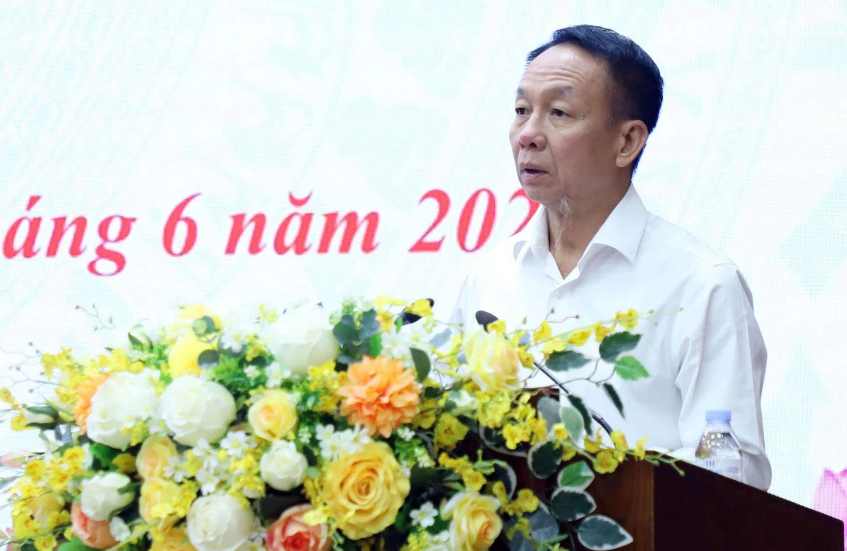 baolaocai-tr_10.jpg