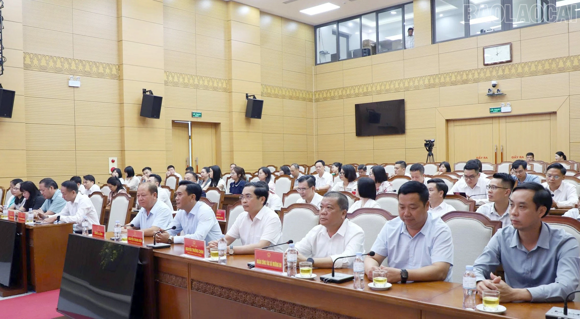 baolaocai-tr_3-3640.jpg