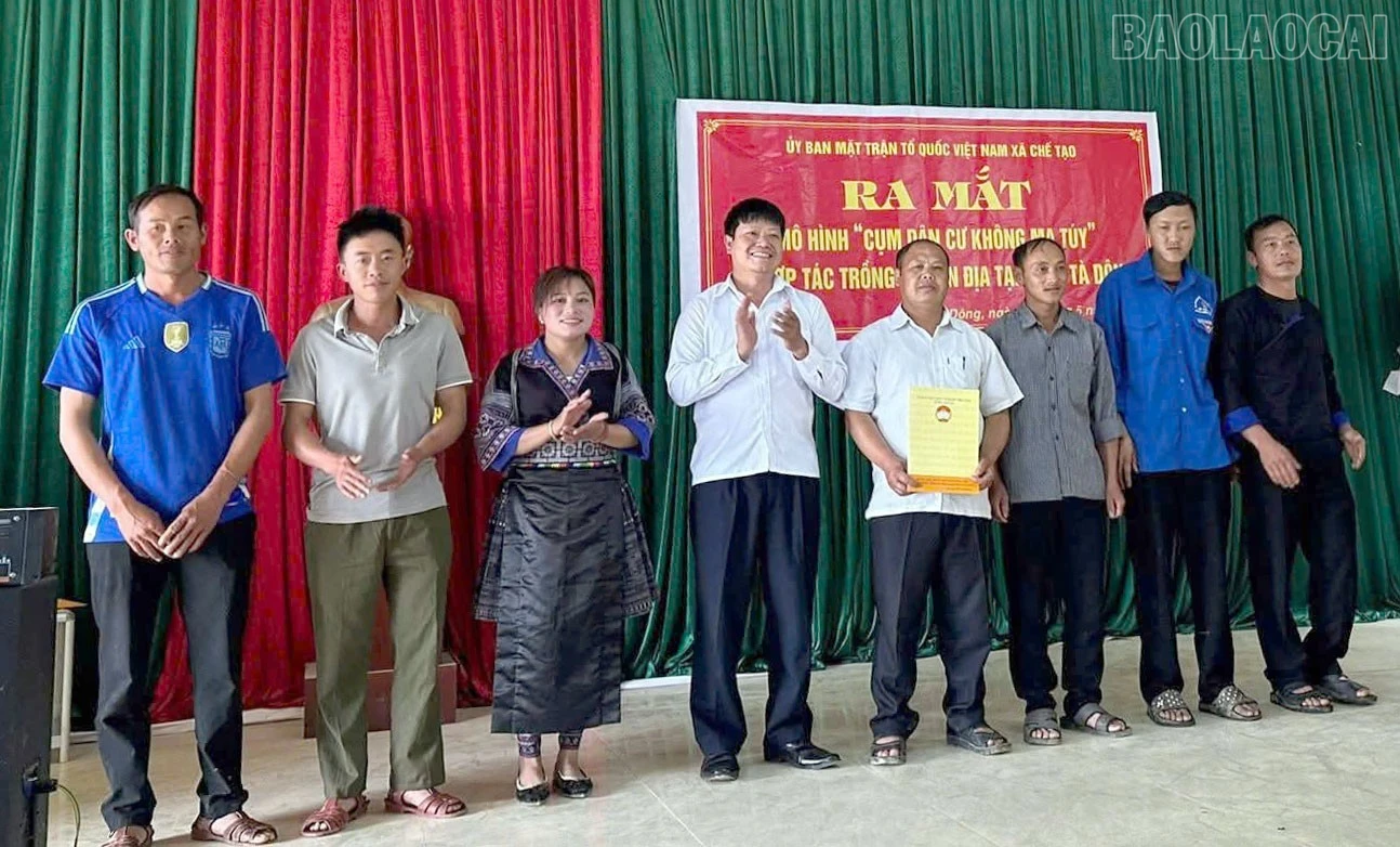 baolaocai-tr_5.jpg