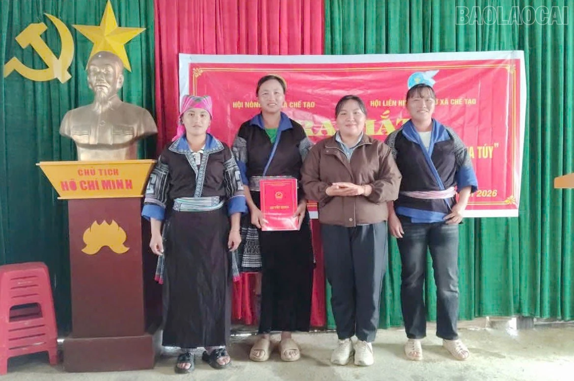 baolaocai-tr_4.jpg