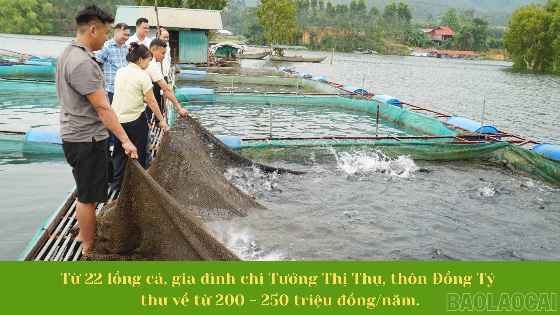 baolaocai-br_4-9795.png