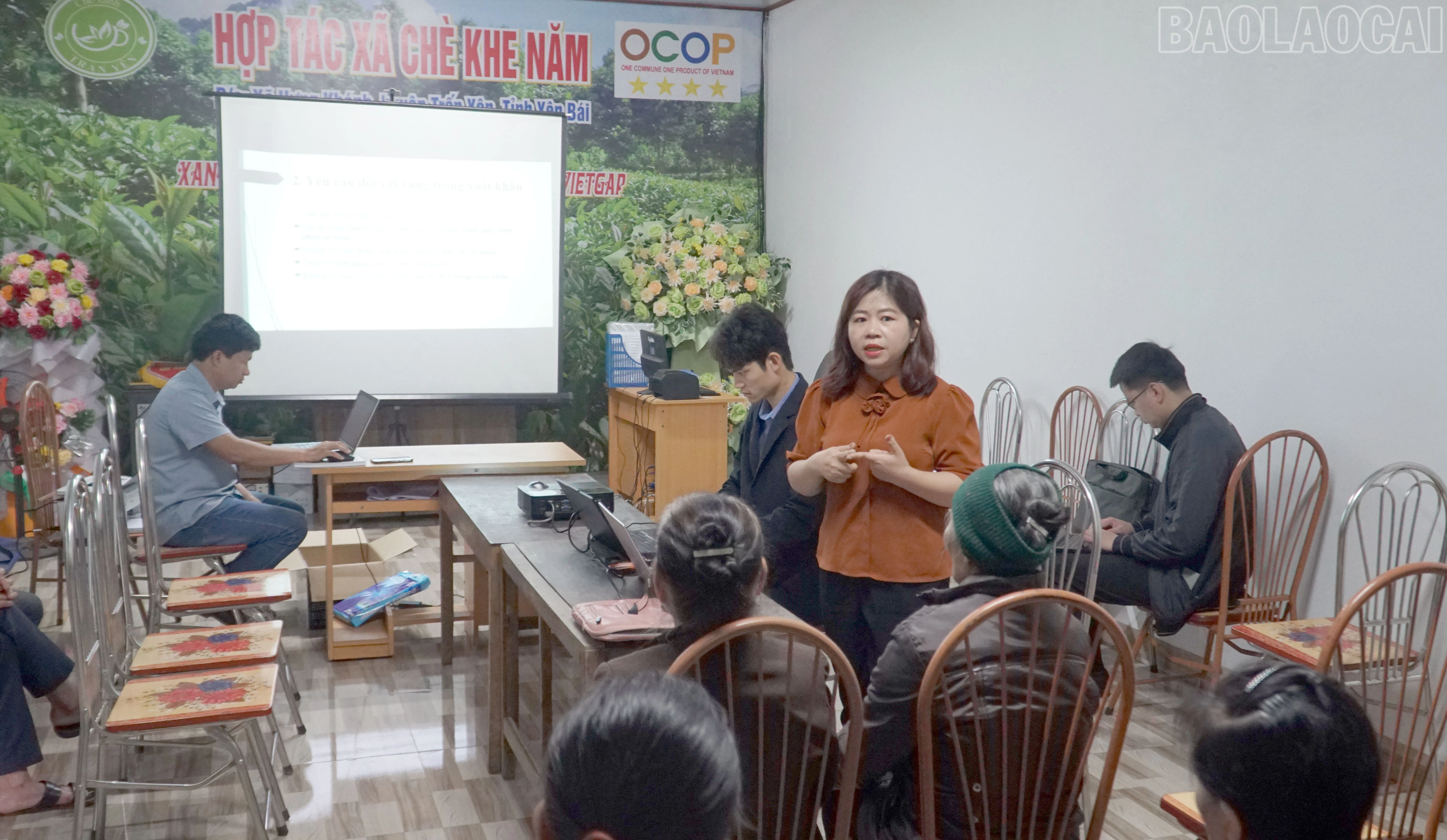 baolaocai-tr_5.jpg