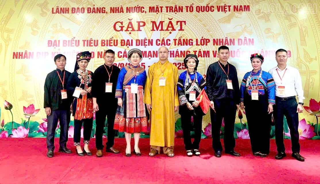 baolaocai-tr_3.jpg