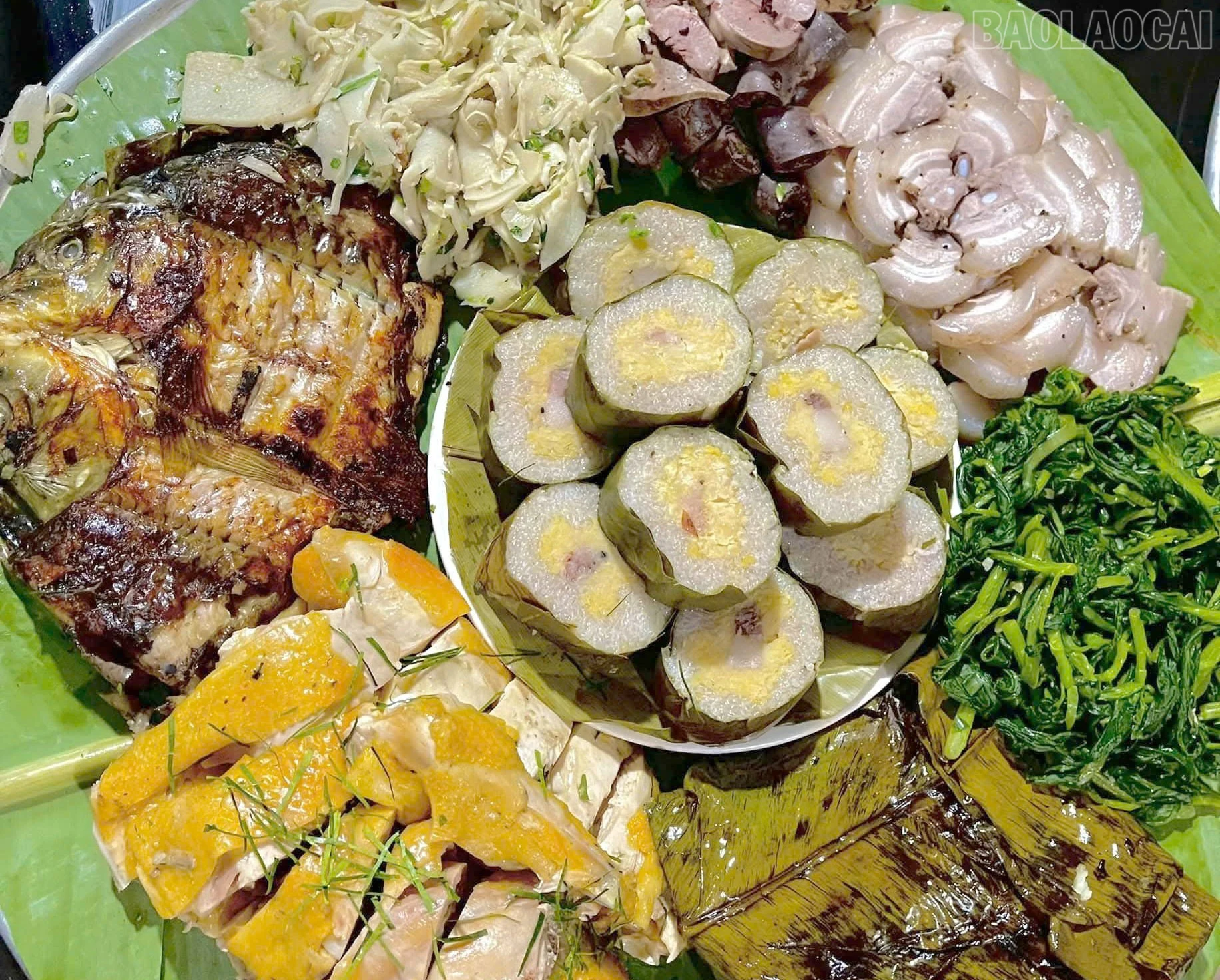 baolaocai-tr_2.jpg