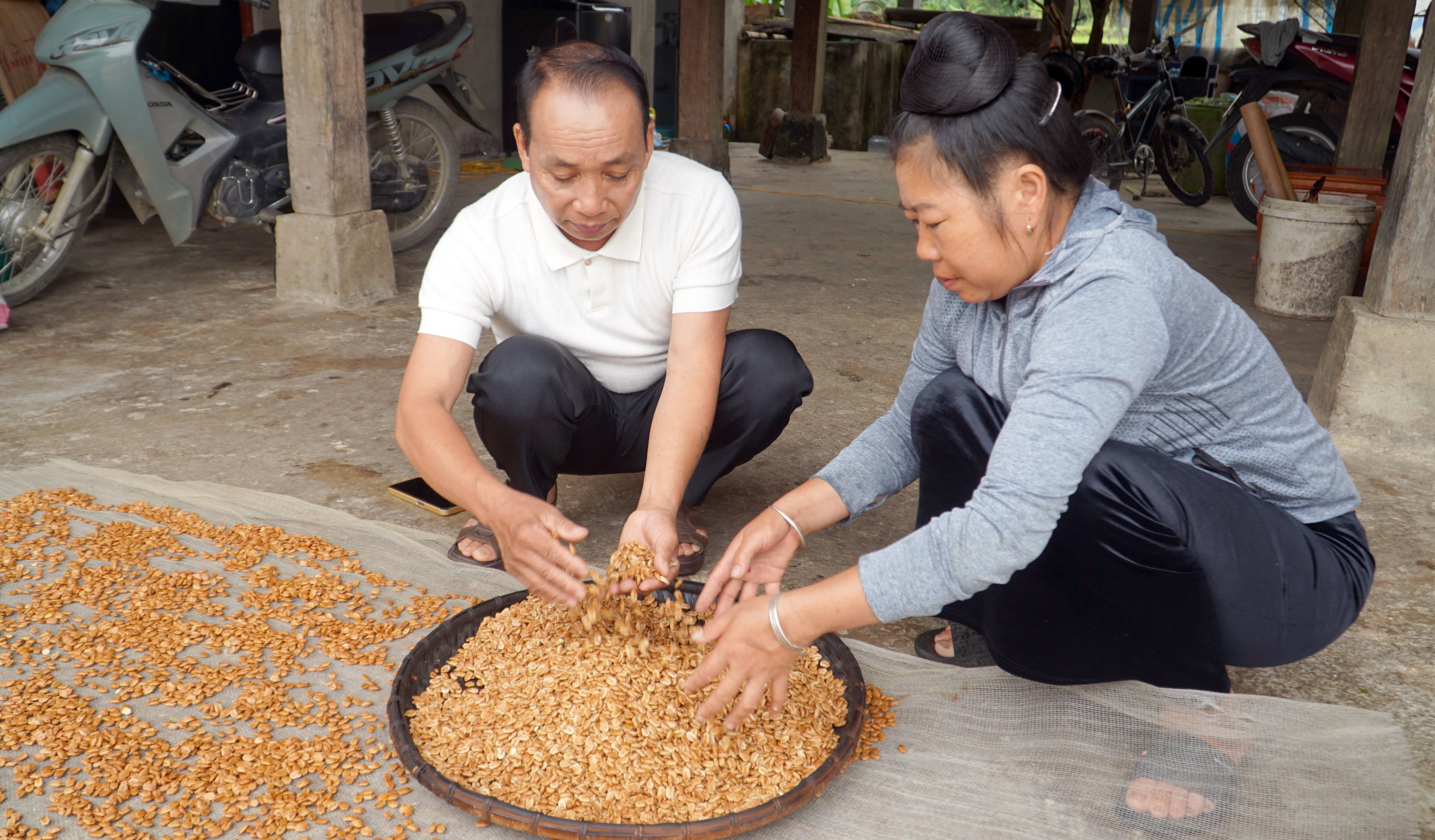 Nhờ ứng dụng khoa học - kỹ thuật vào sản xuất, người dân thôn bản Pưn đã phát triển mô hình trồng mướp đắng lấy hạt, mang lại giá trị kinh tế cao, gấp khoảng 20 lần so với trồng lúa.