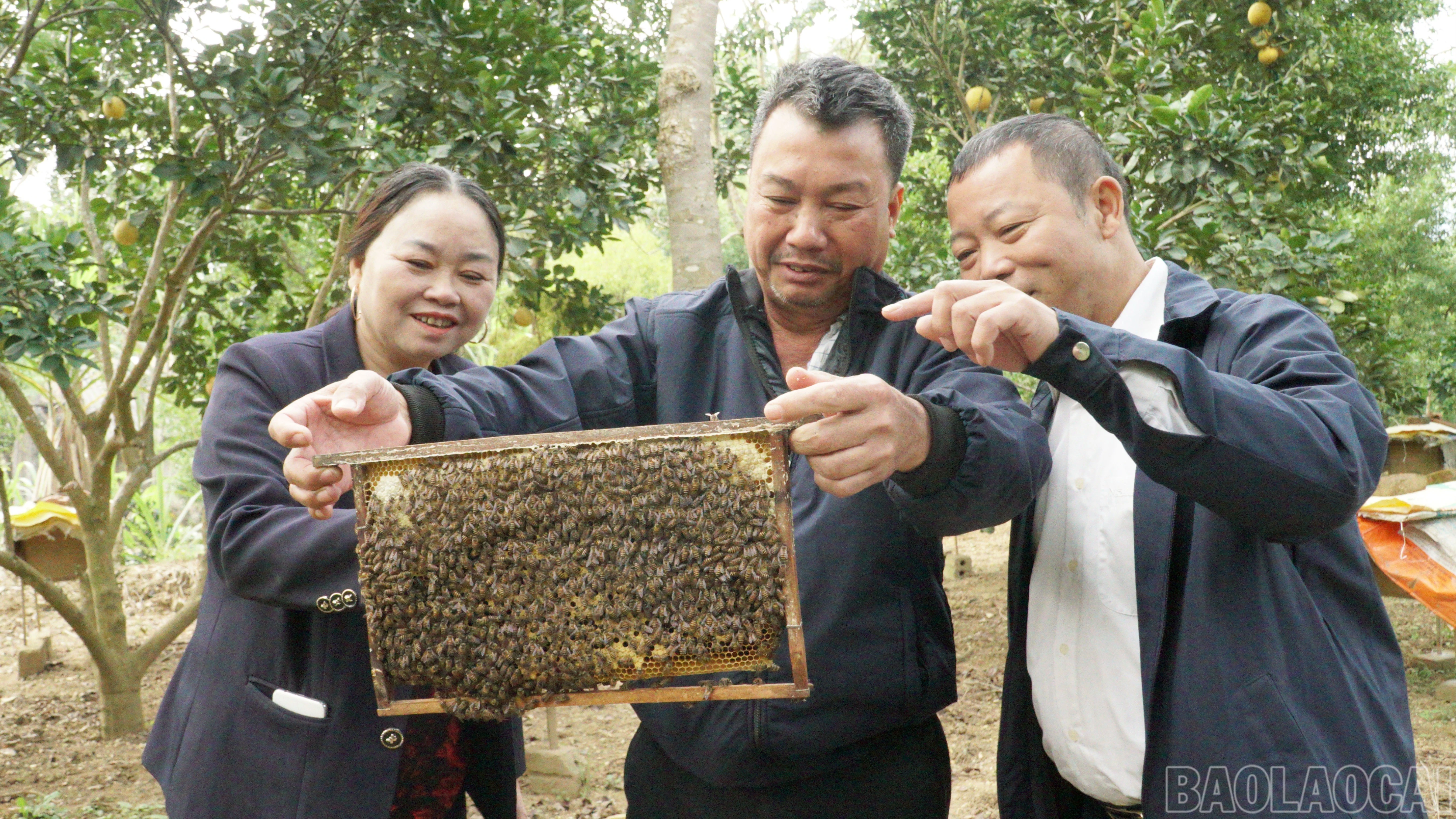 baolaocai-br_44-3662.jpg