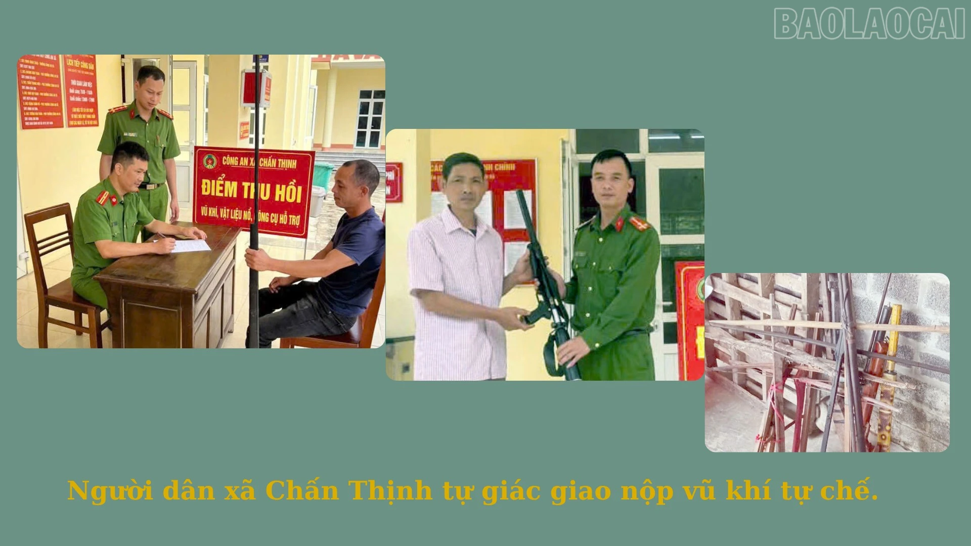 baolaocai-tr_7-2832.png