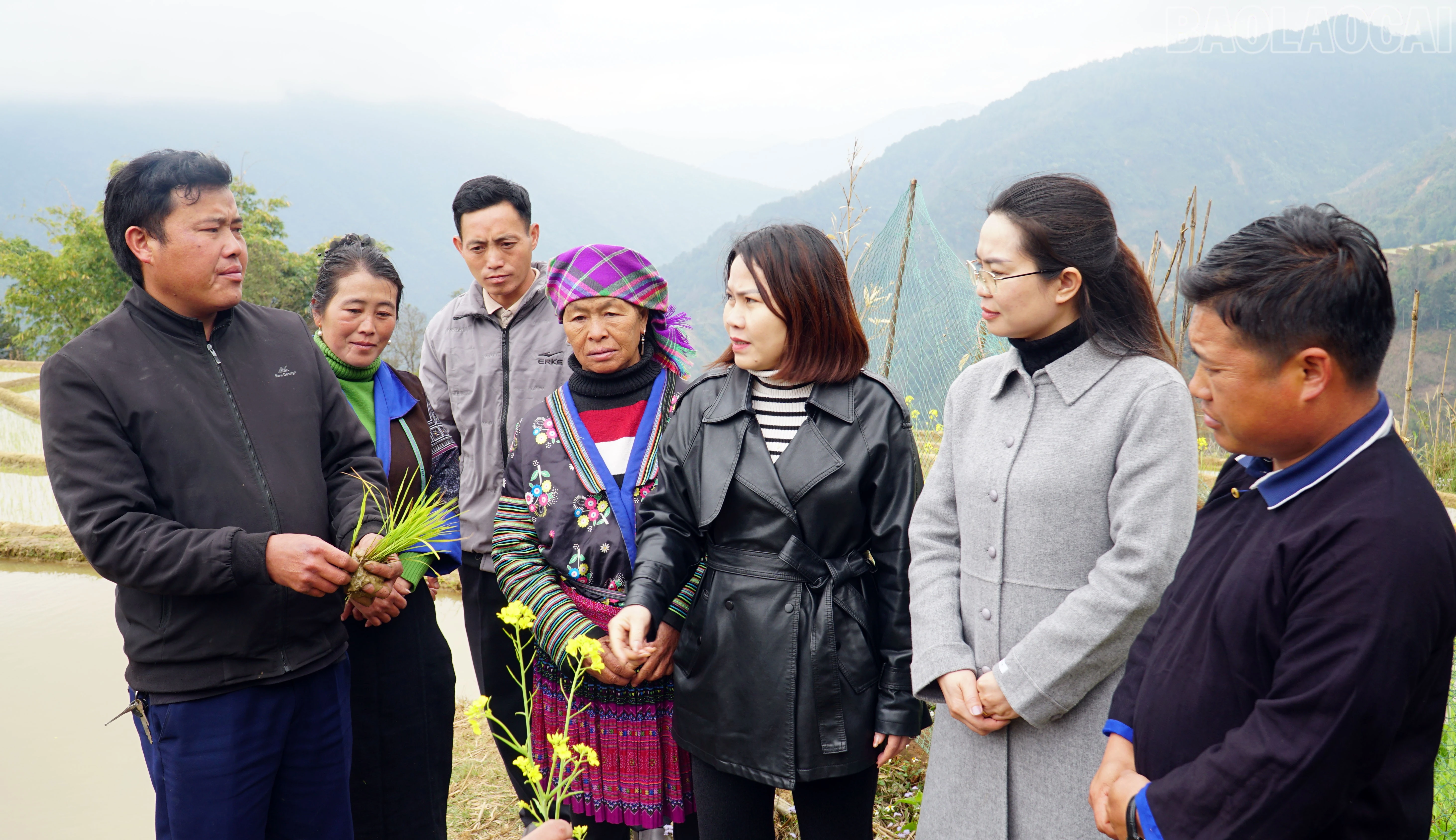 baolaocai-tr_khao-mang-2.jpg