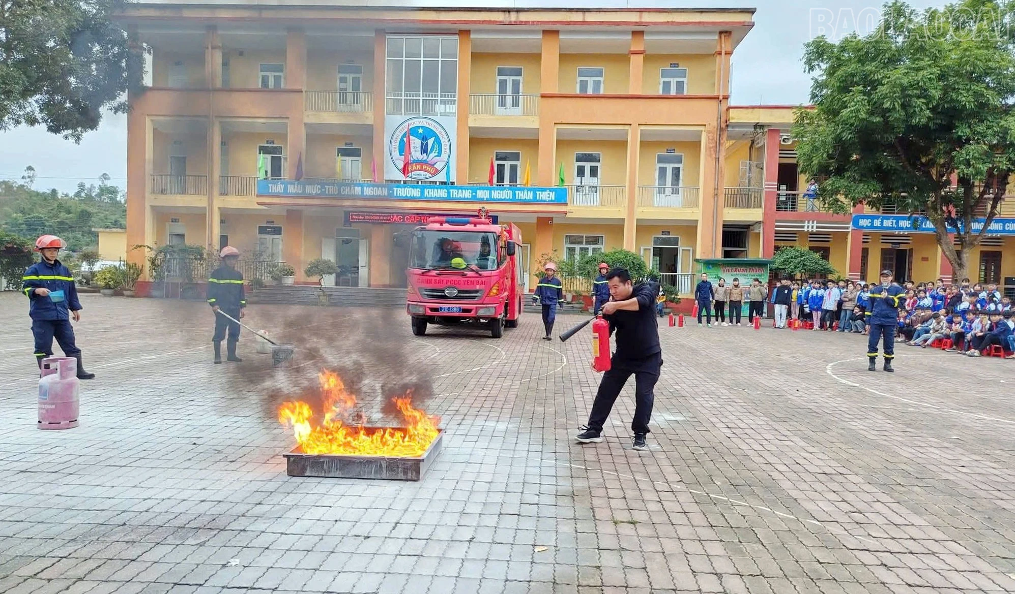 baolaocai-tr_3.jpg