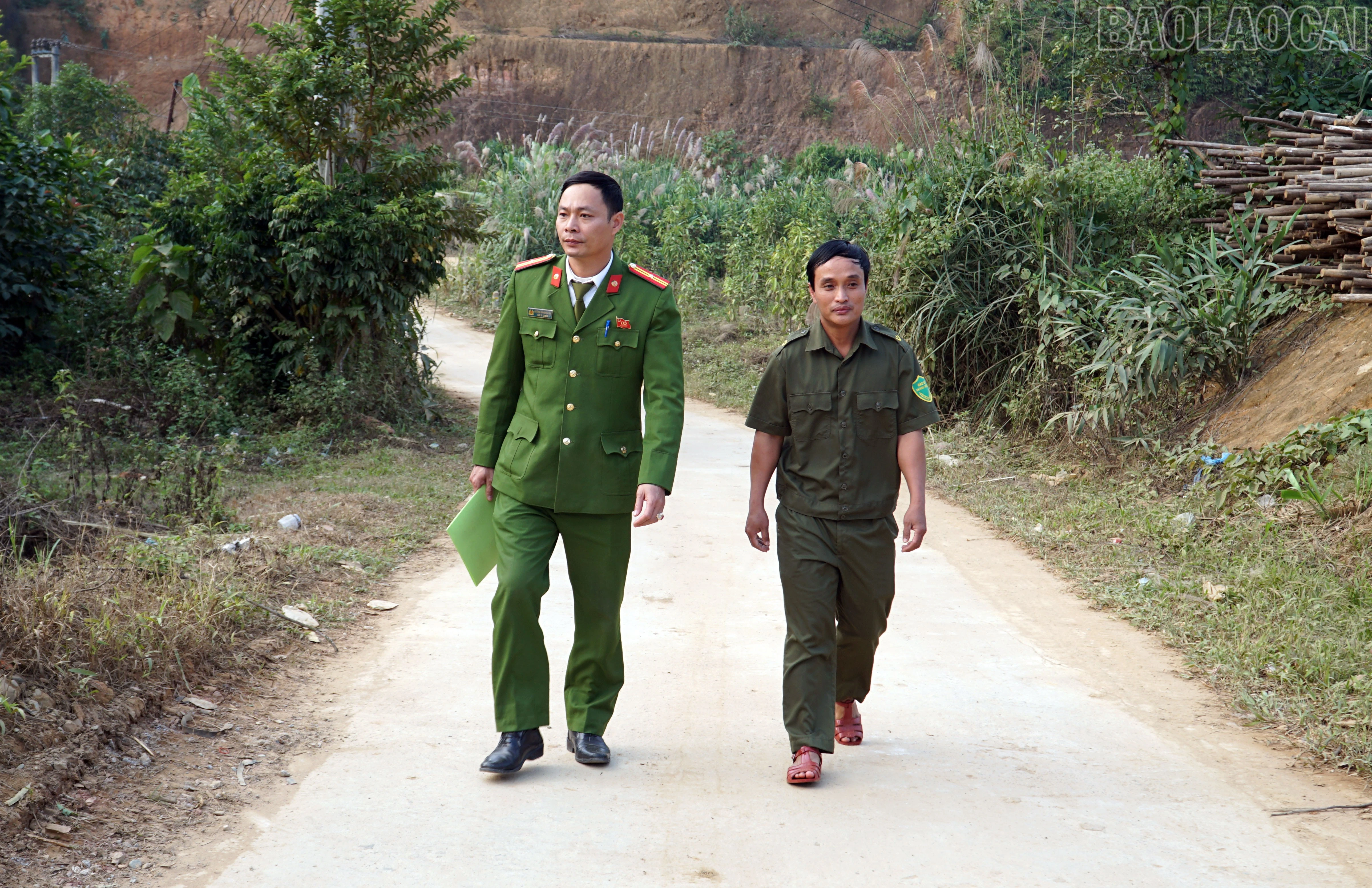baolaocai-tr_2.jpg
