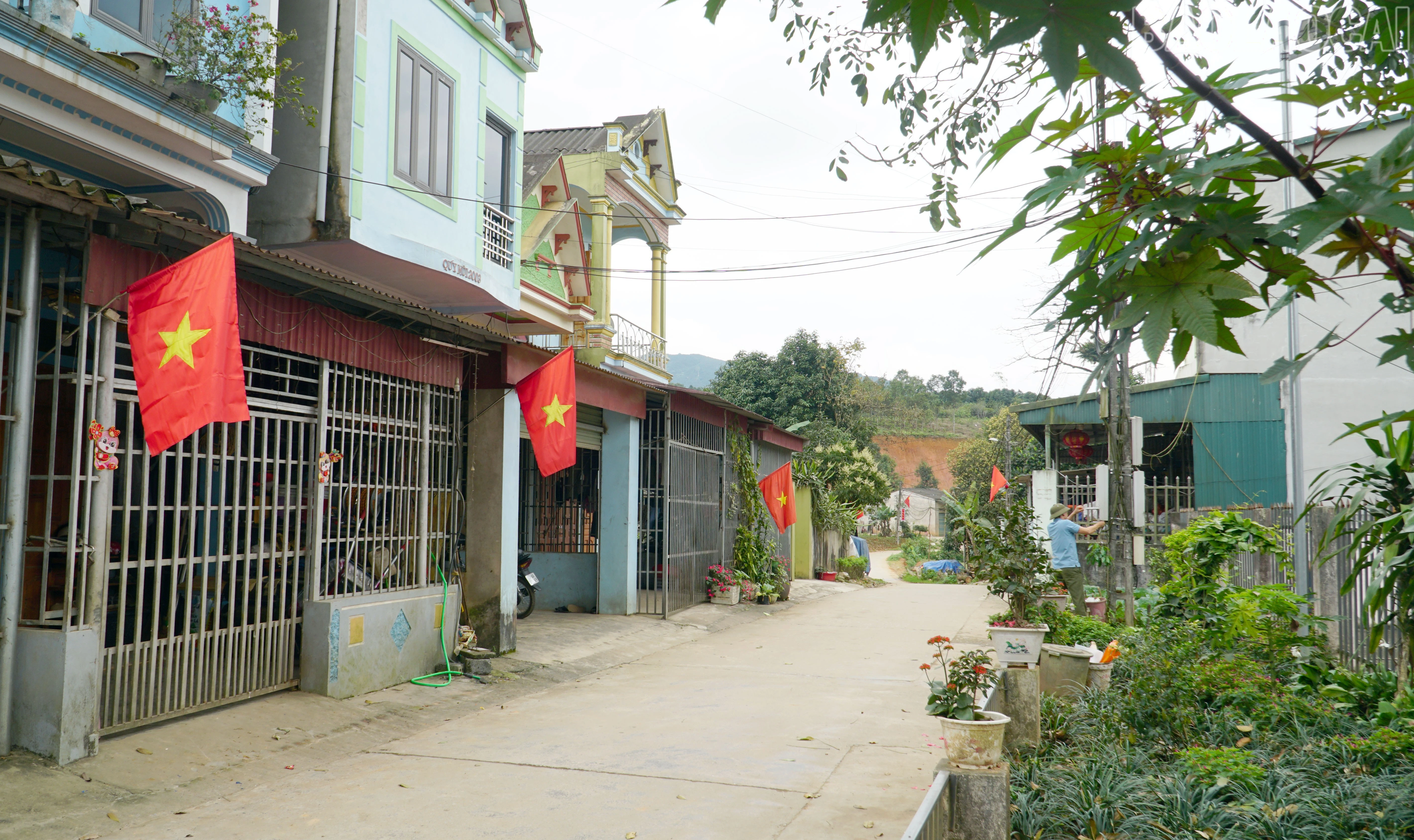 baolaocai-tr_2.jpg