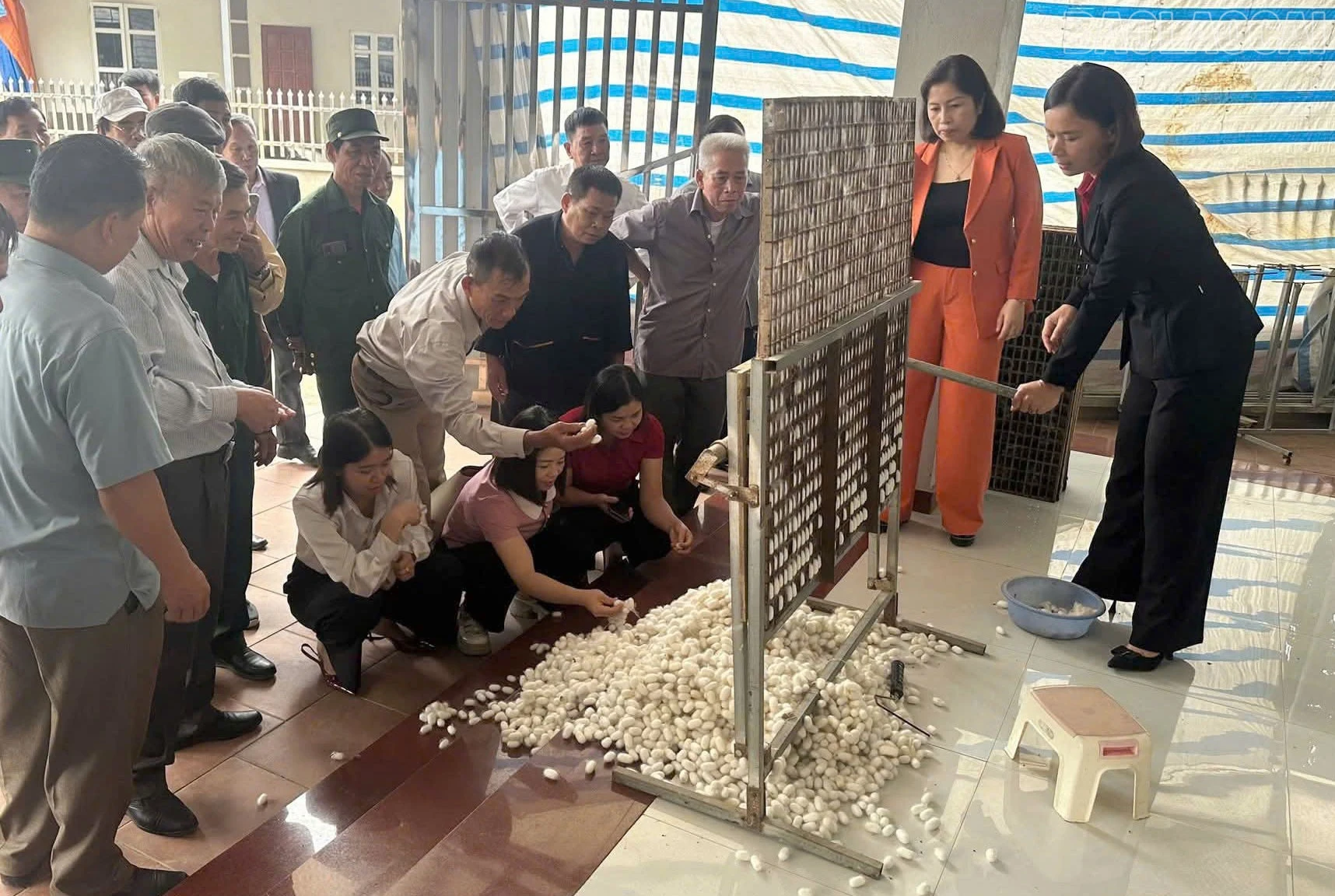 baolaocai-tr_1-7544.jpg
