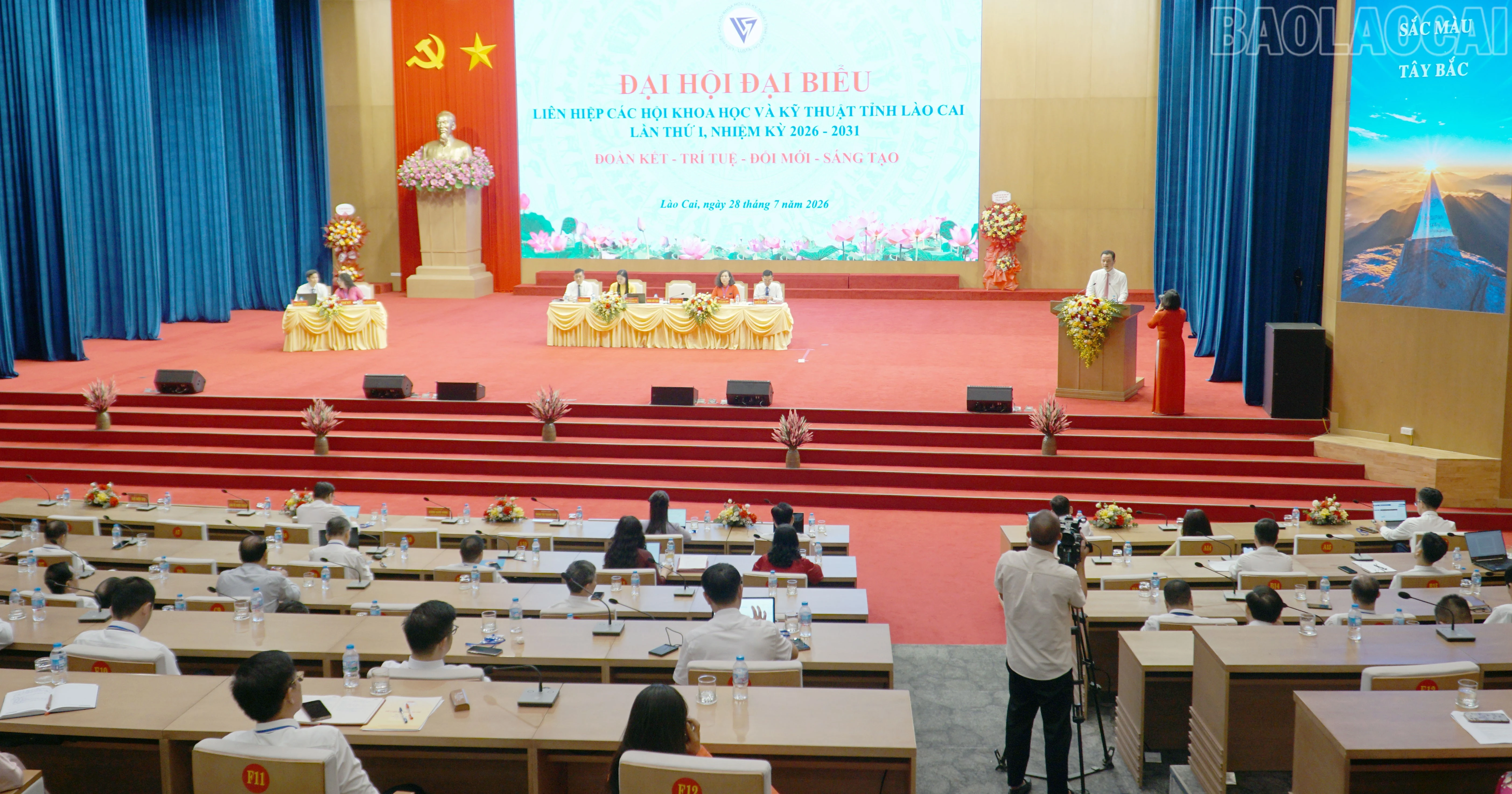 baolaocai-tr_2.jpg