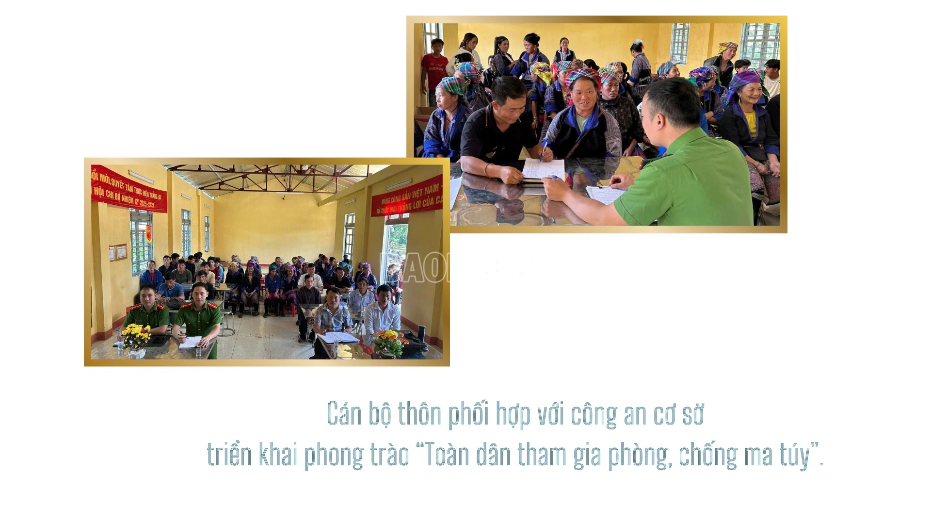 baolaocai-c_4-9354.png