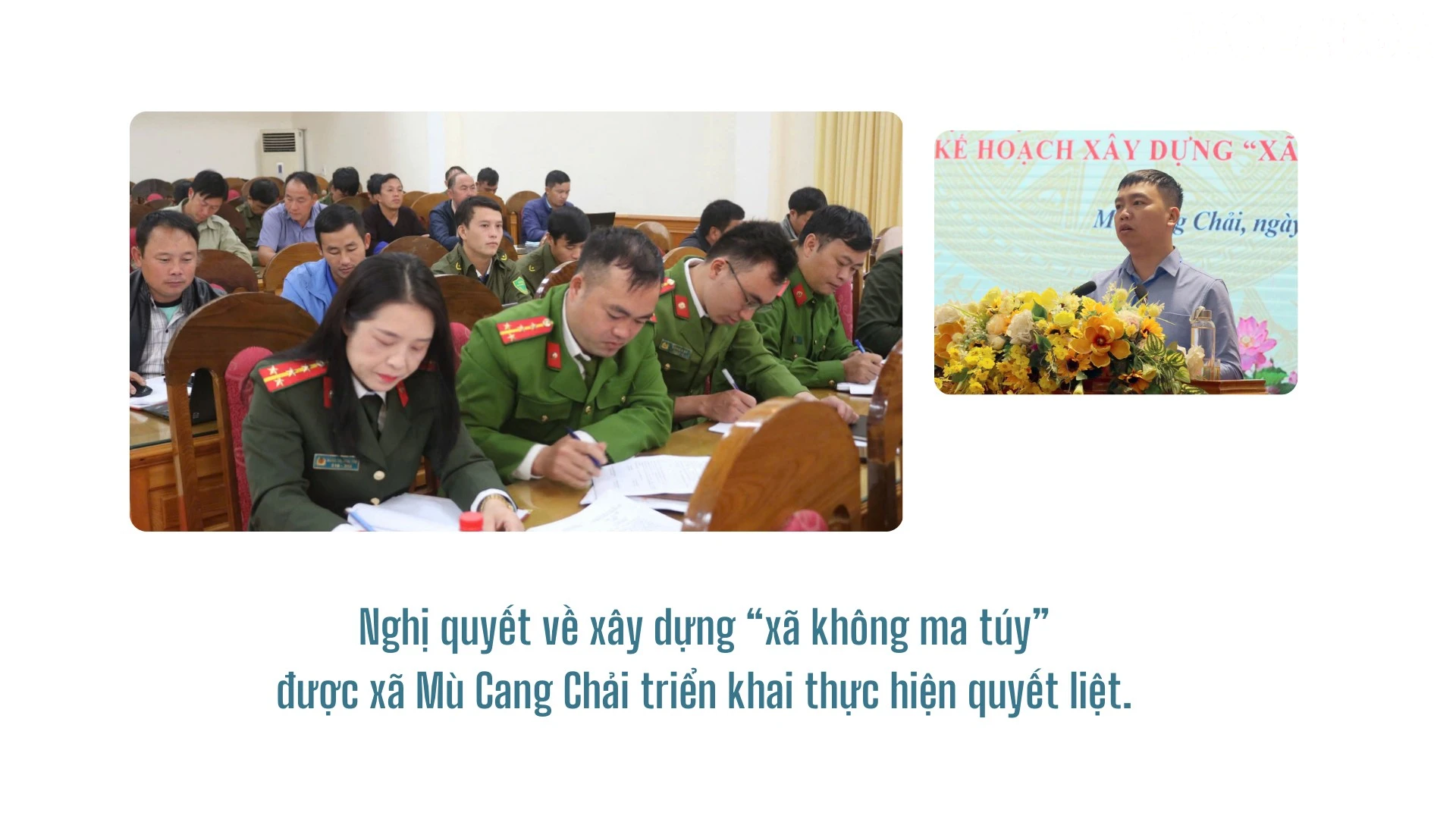 baolaocai-tr_2-4456.png