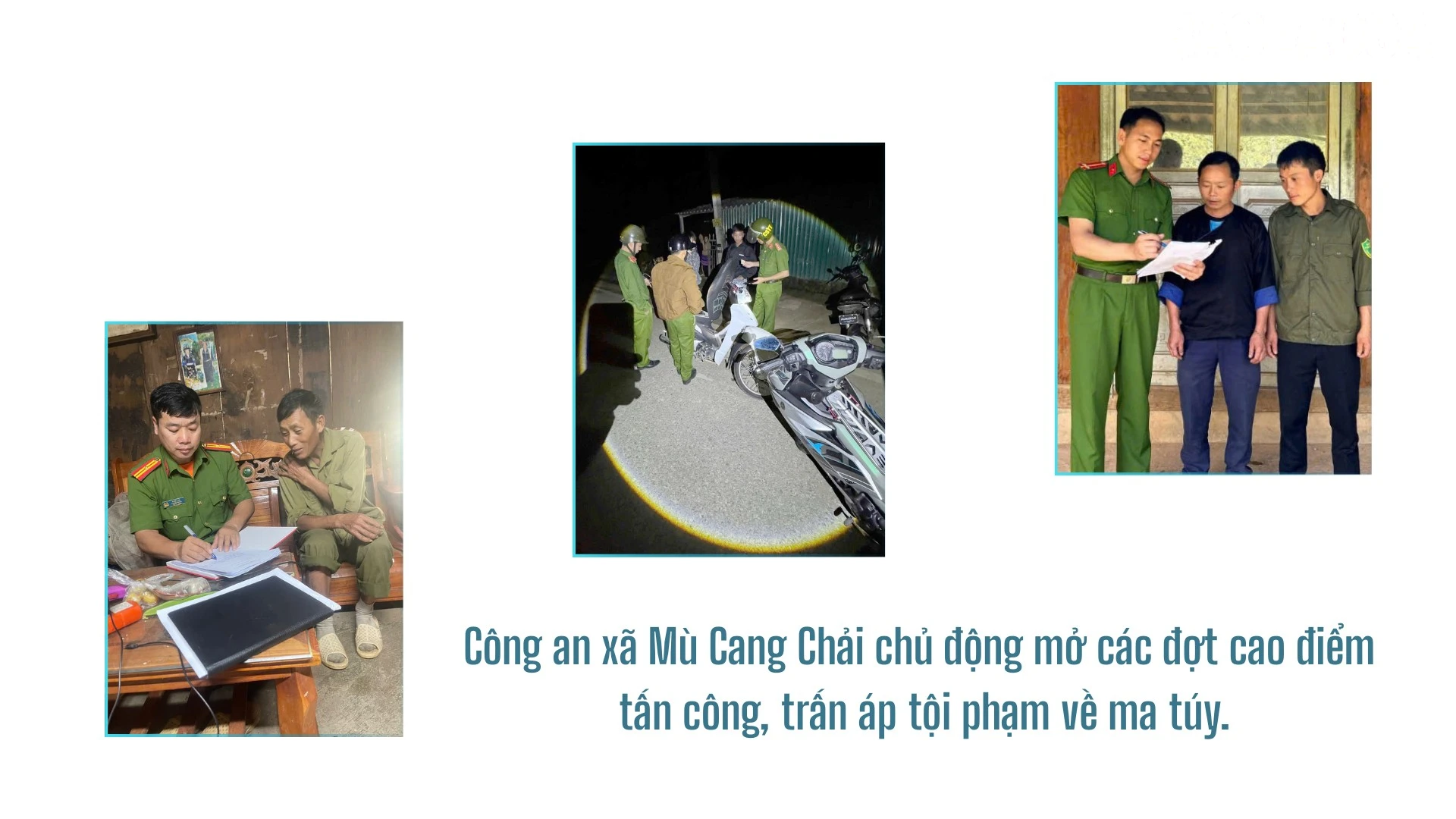 baolaocai-tr_3-5102.png