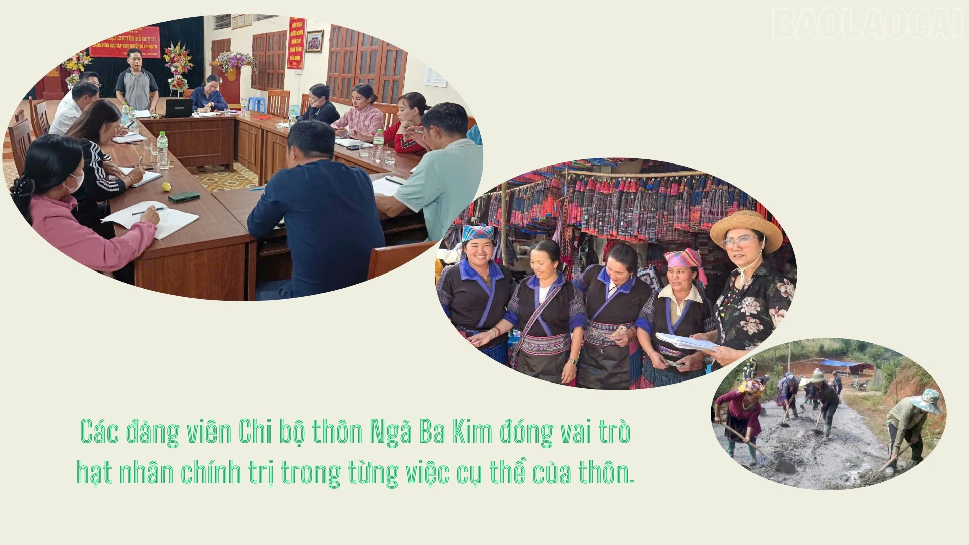 baolaocai-tr_3-1453.png