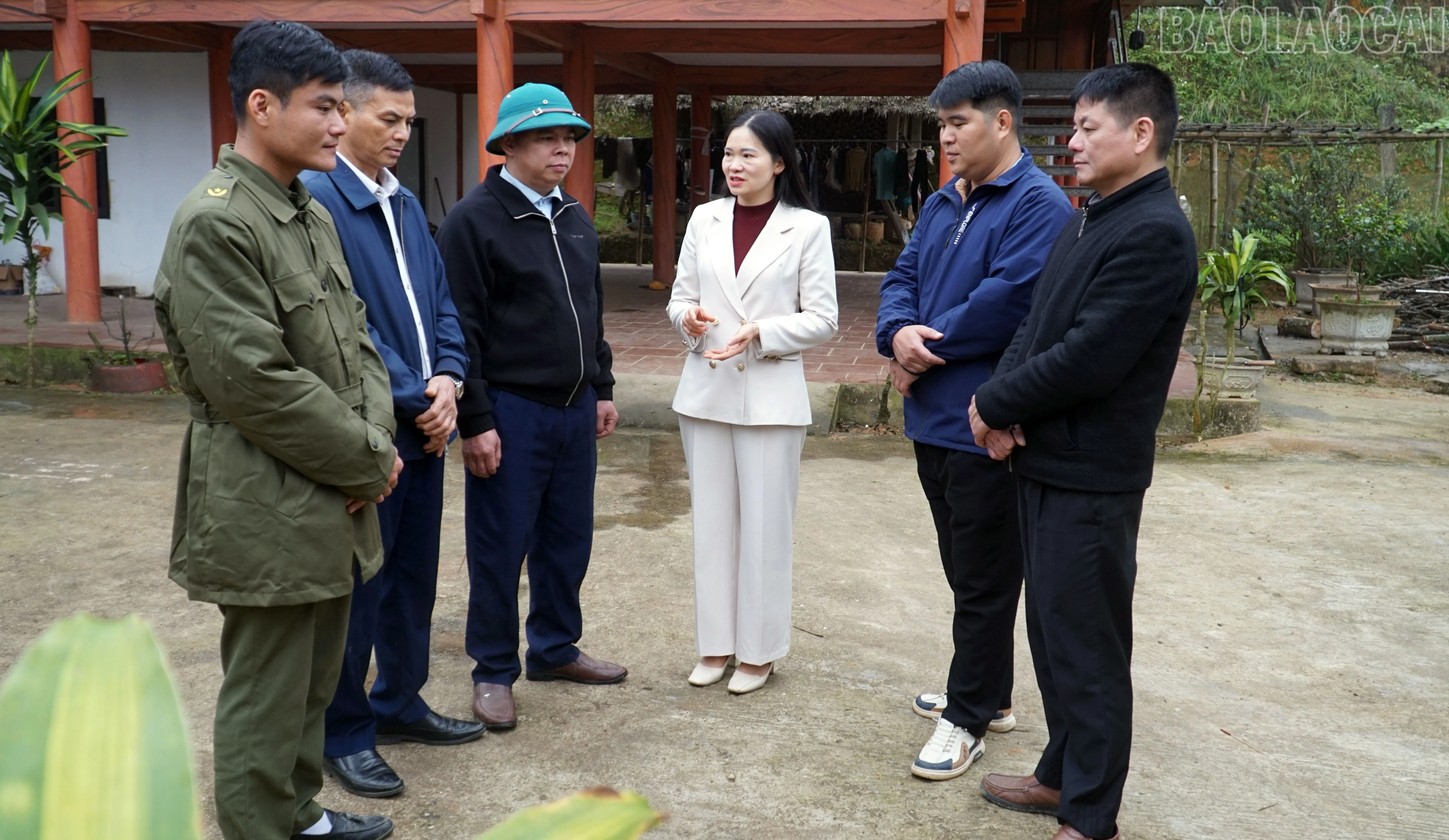 baolaocai-tr_4.jpg