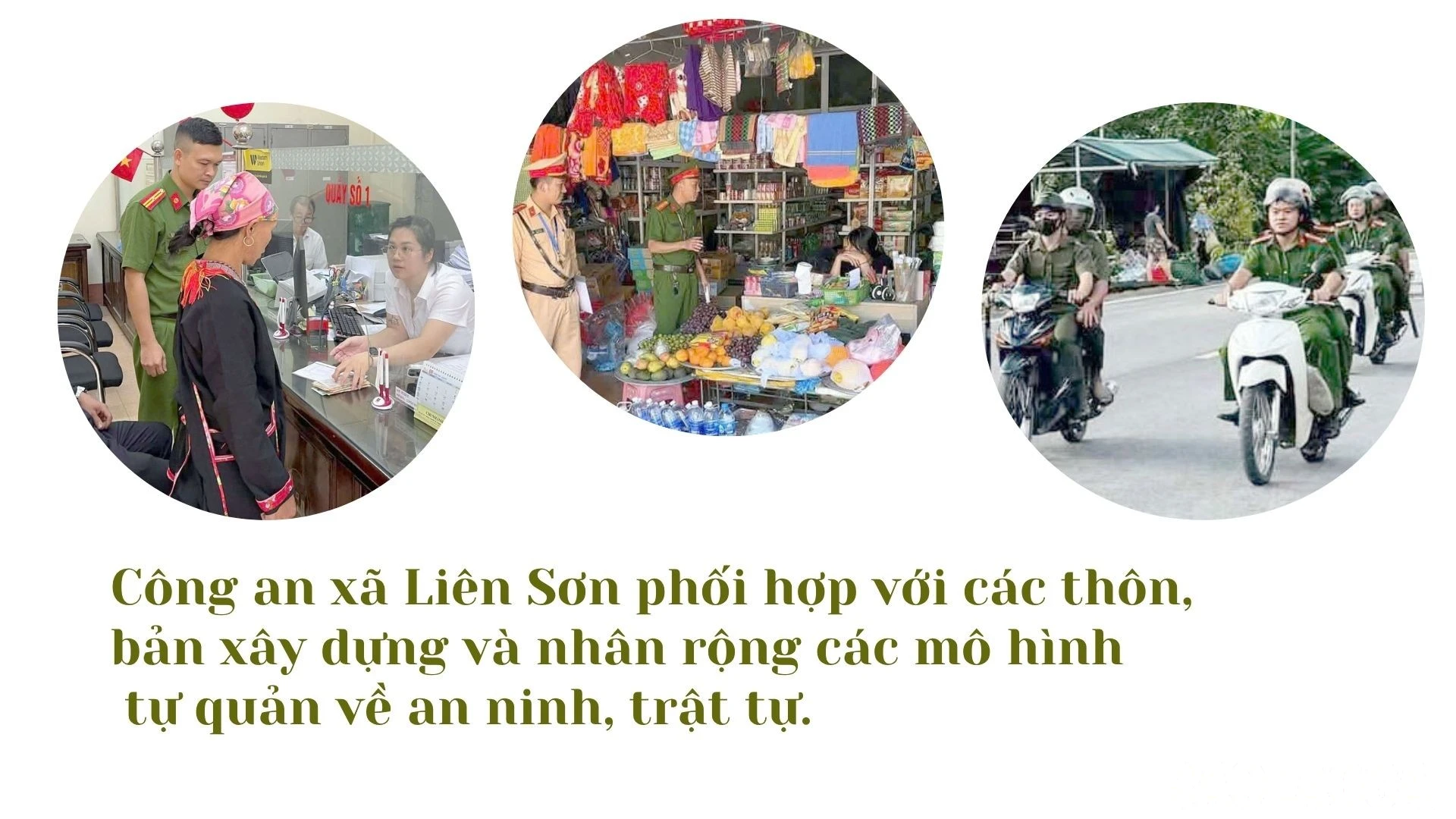 baolaocai-br_lien-son-1111.jpg