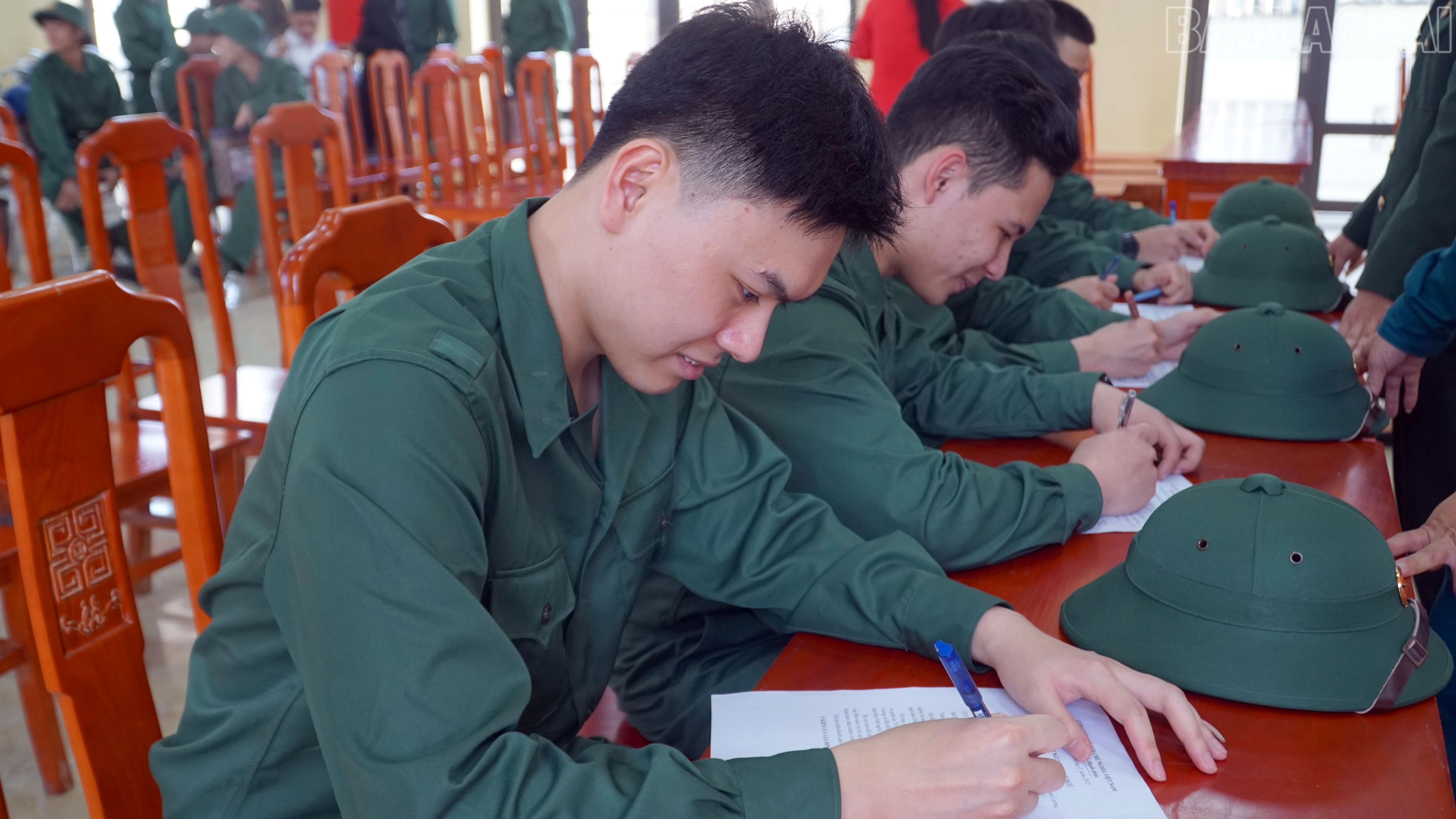 baolaocai-tr_7.jpg