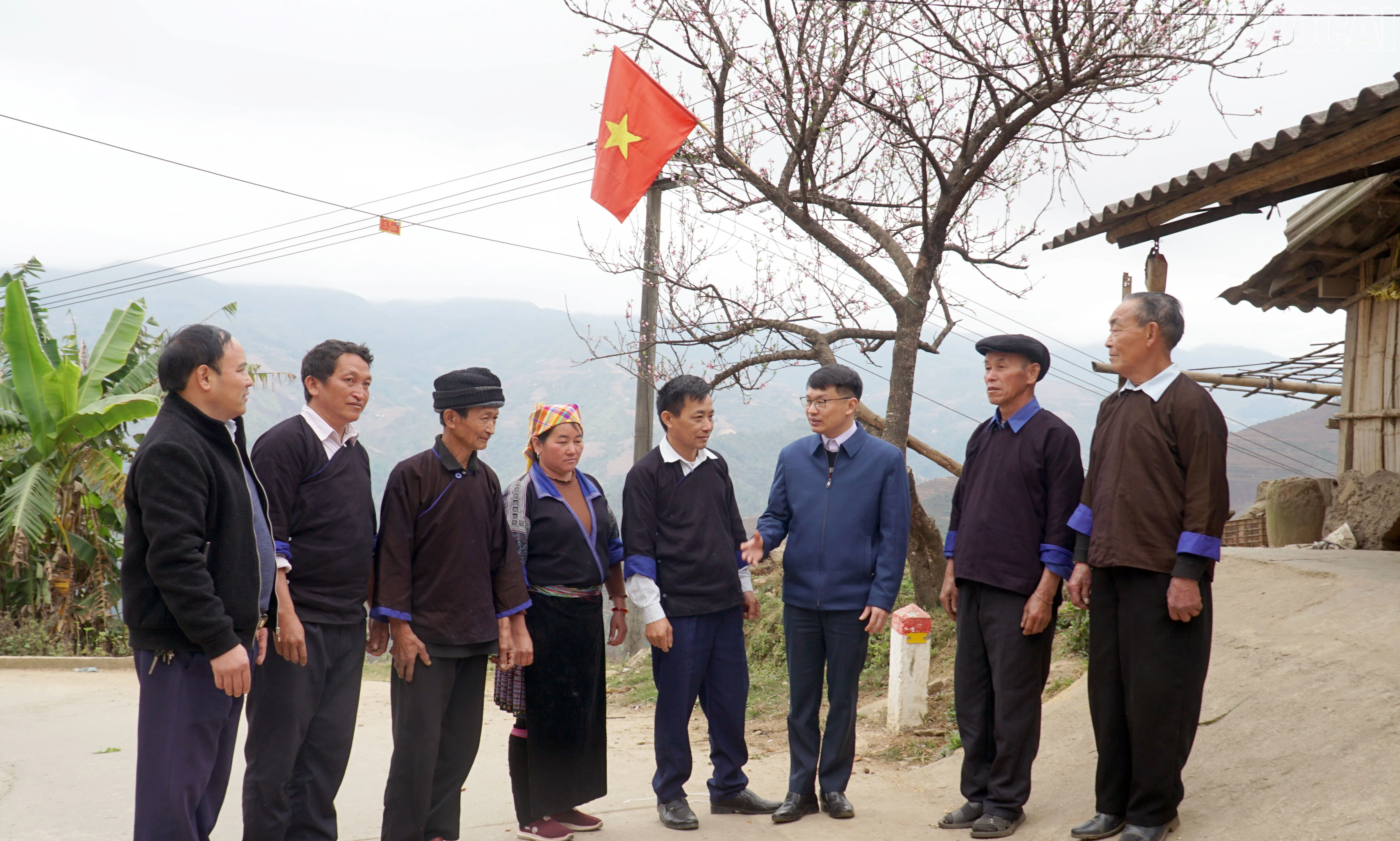 baolaocai-tr_4.jpg