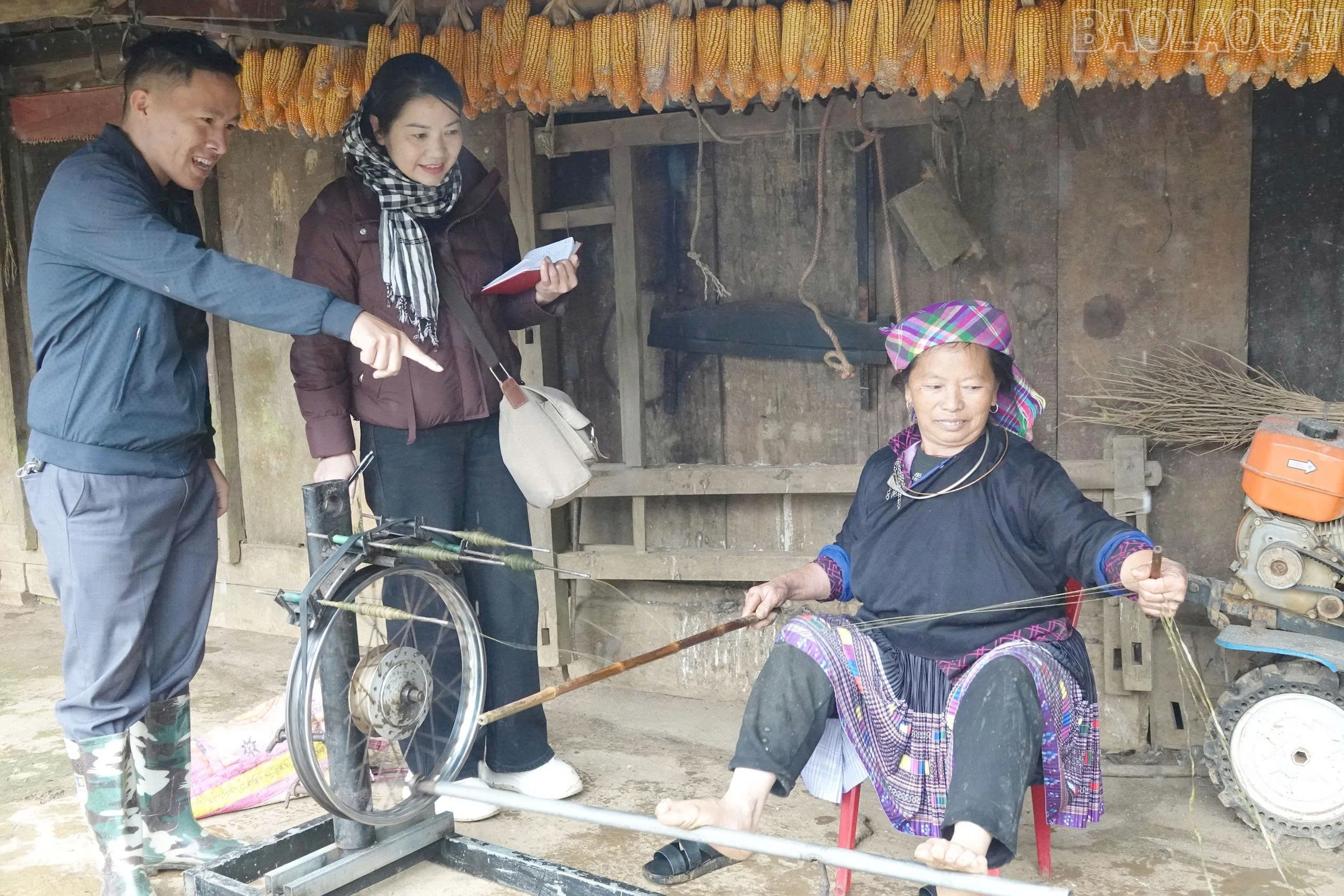 baolaocai-tr_lay.jpg