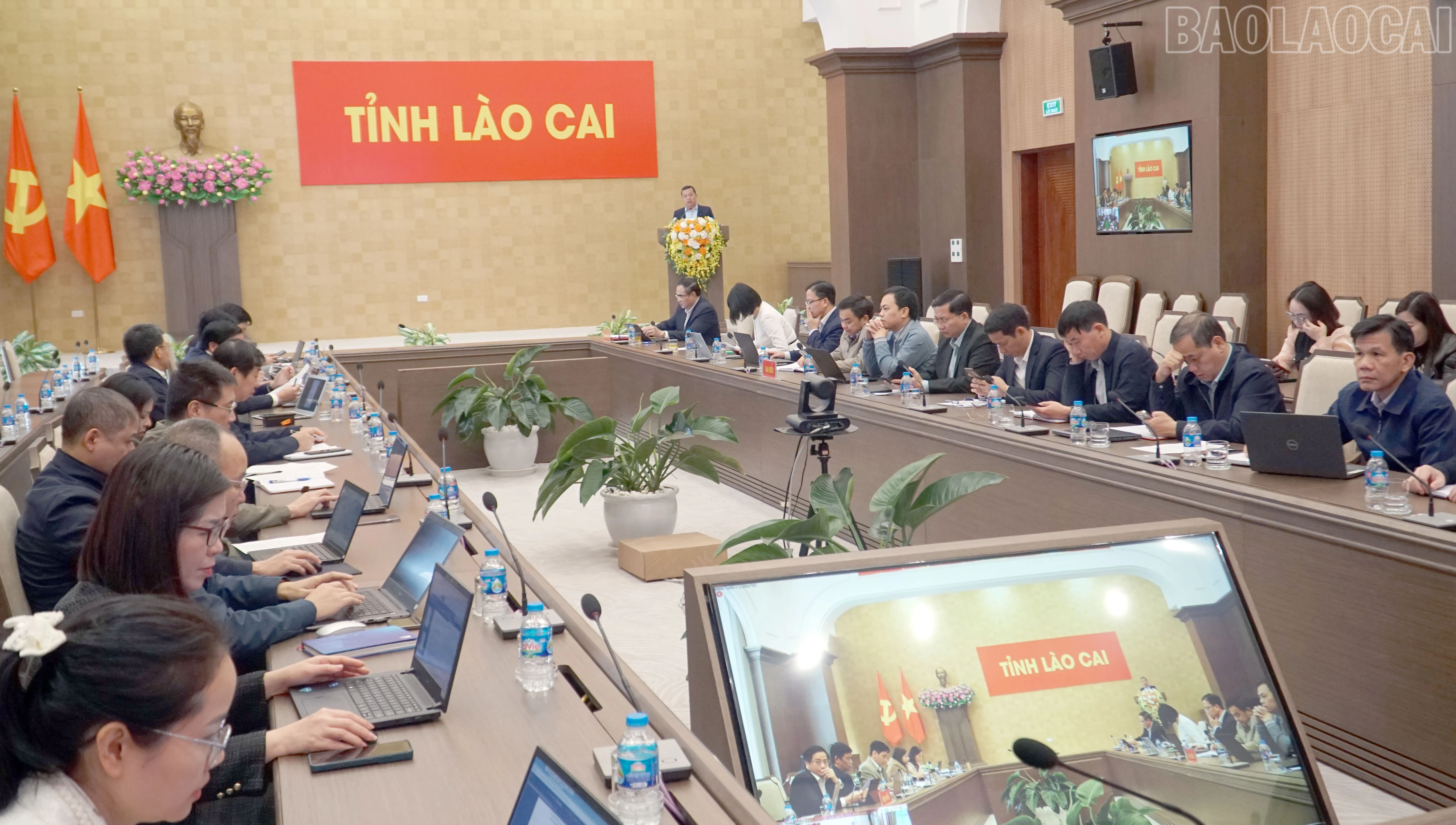 baolaocai-tr_1.jpg