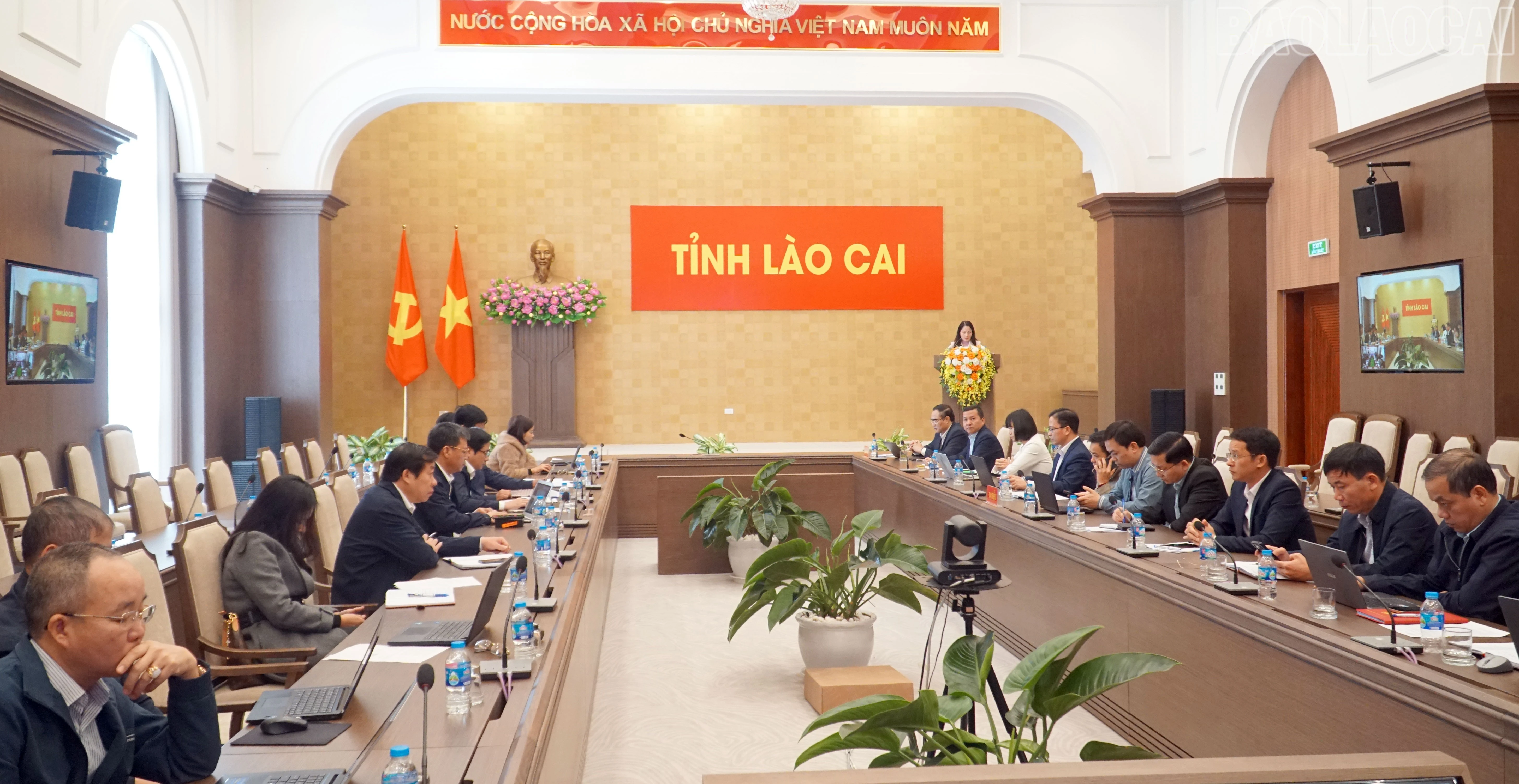 baolaocai-tr_4.jpg