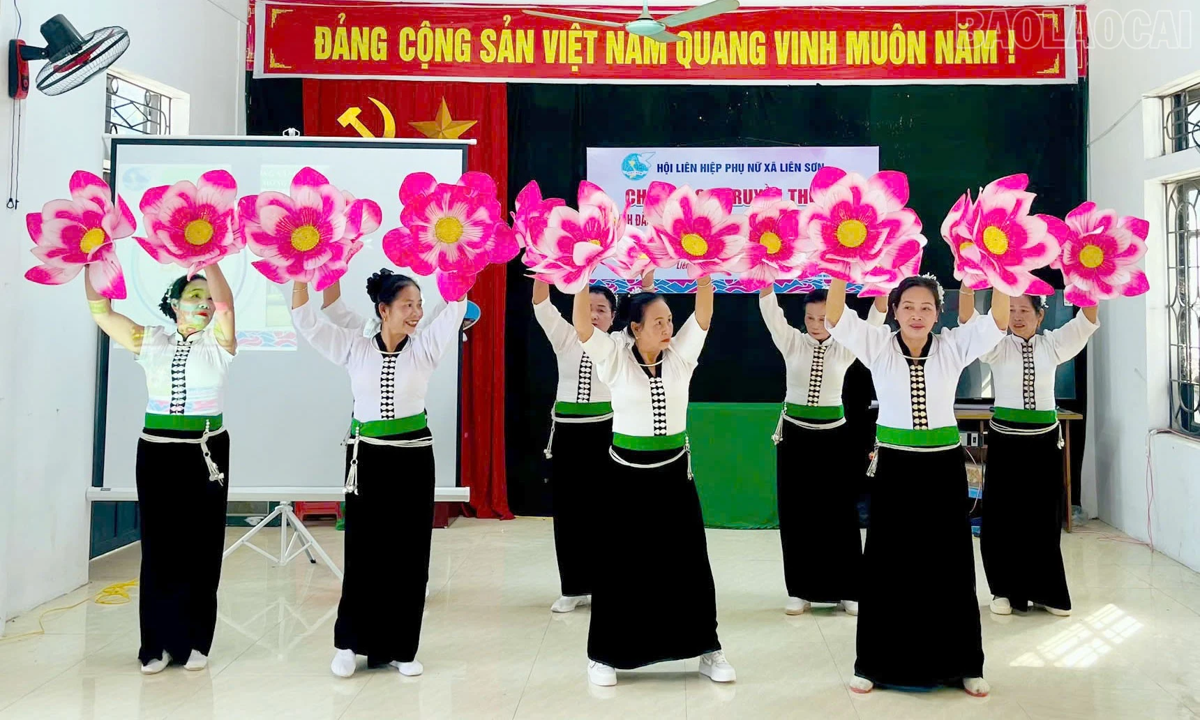 baolaocai-tr_5.jpg
